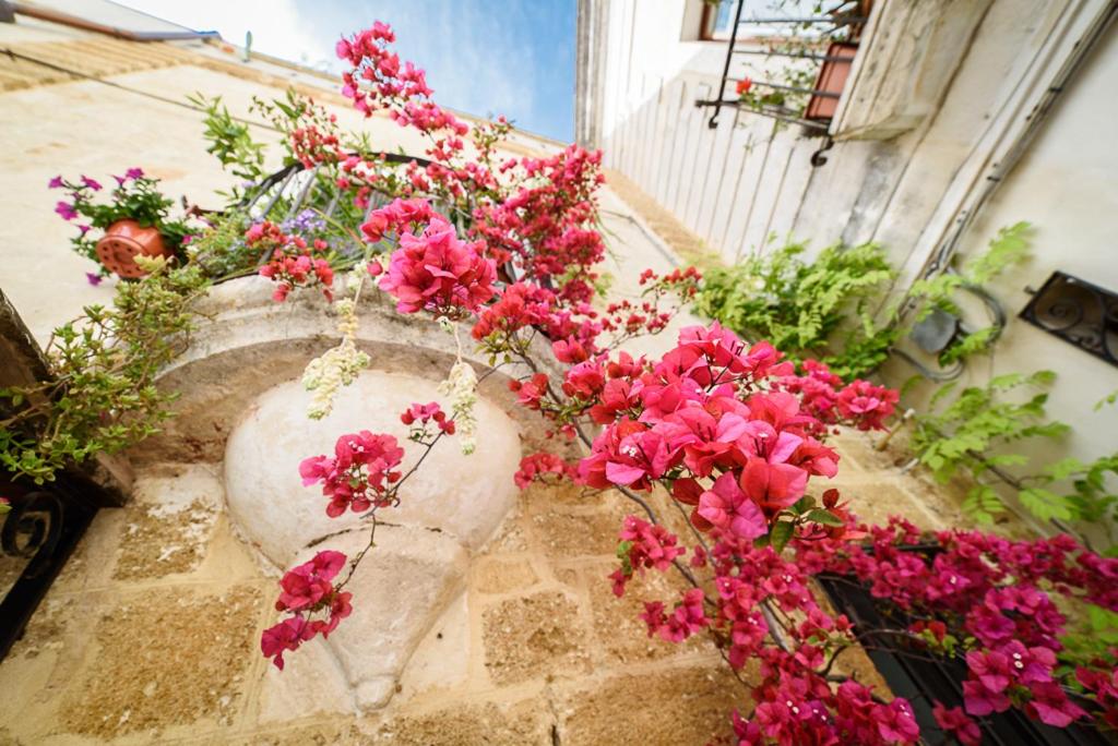 Superior Apartment at Via Rini n.37