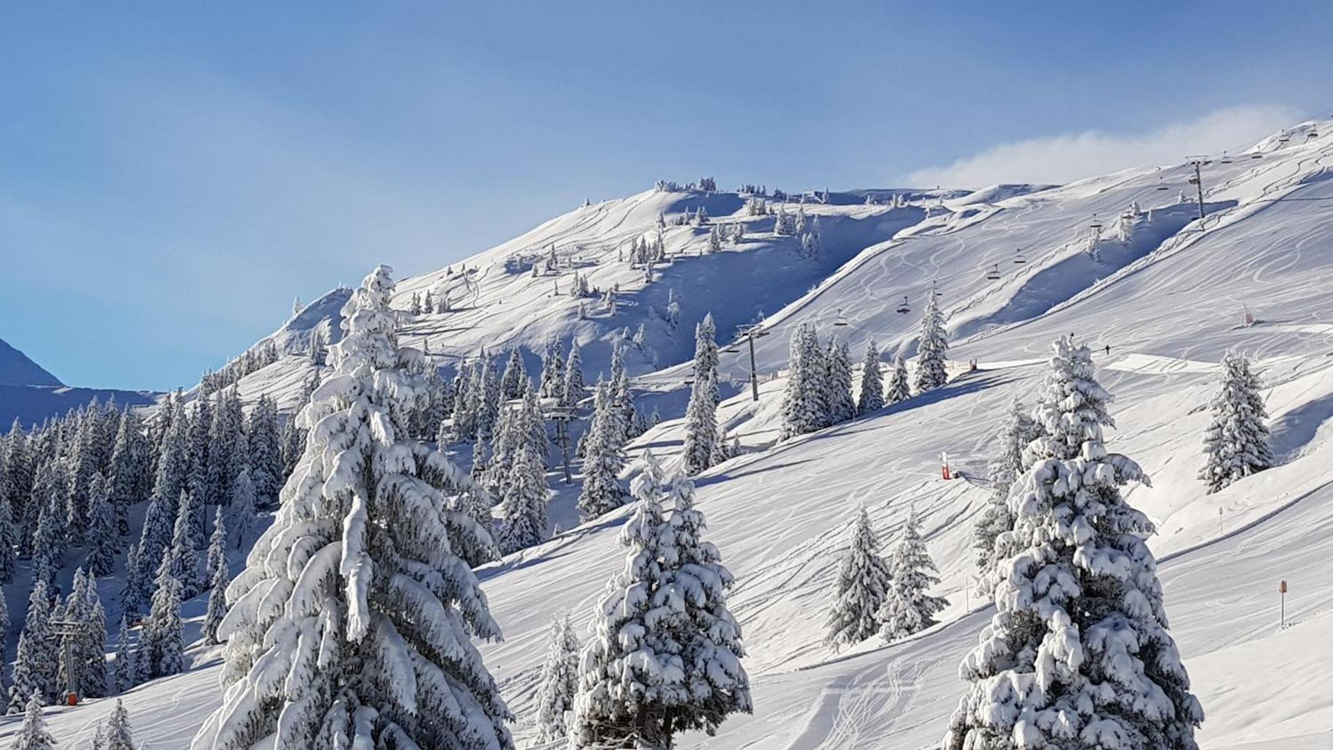 Gartenhotel Lenzenhof - Wildschönau- PREMIUMCARD inclusive