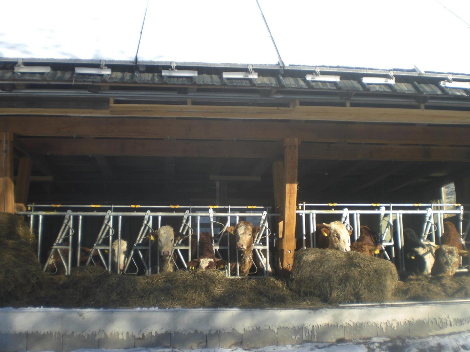 Urlaub am Bauernhof Grabenhofer