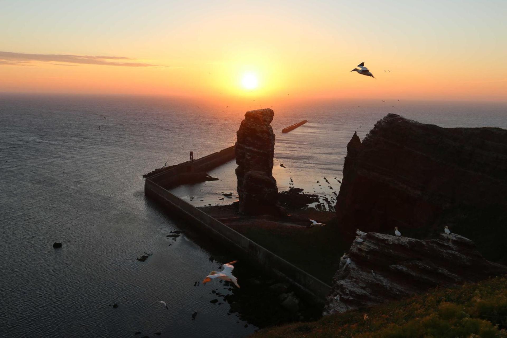 Gaestehaus Cap Hoorn