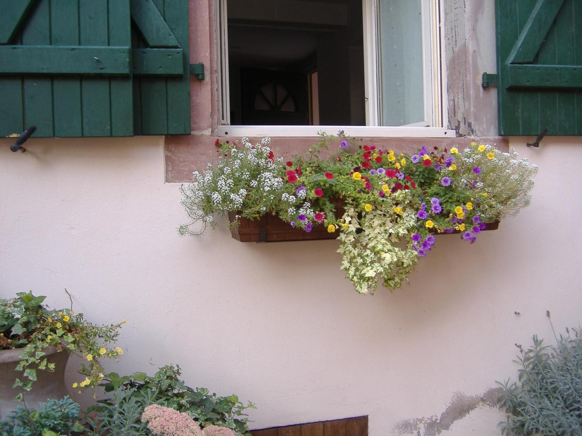 charmant petit appartement en Alsace