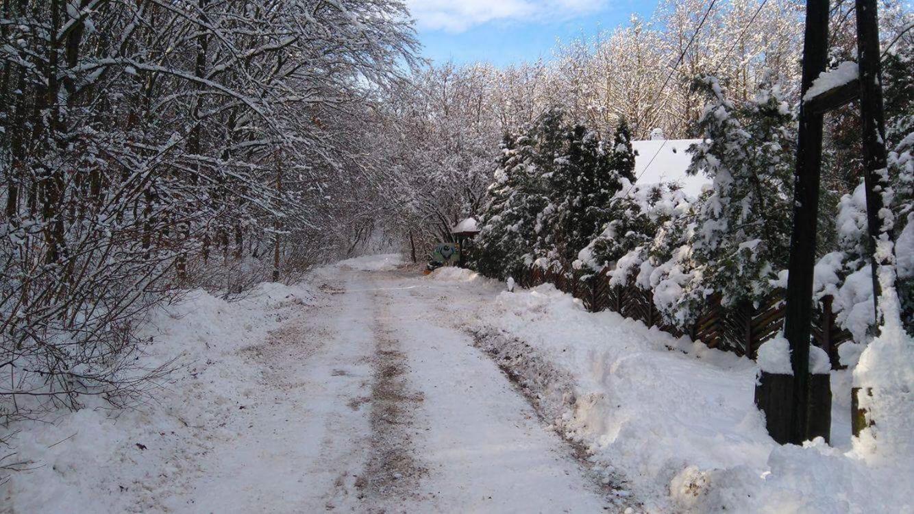 Csodaszarvas Vendégház