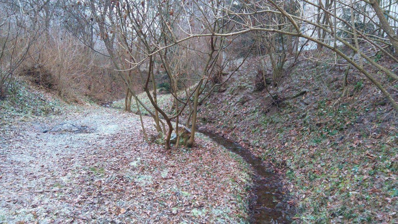 Csodaszarvas Vendégház