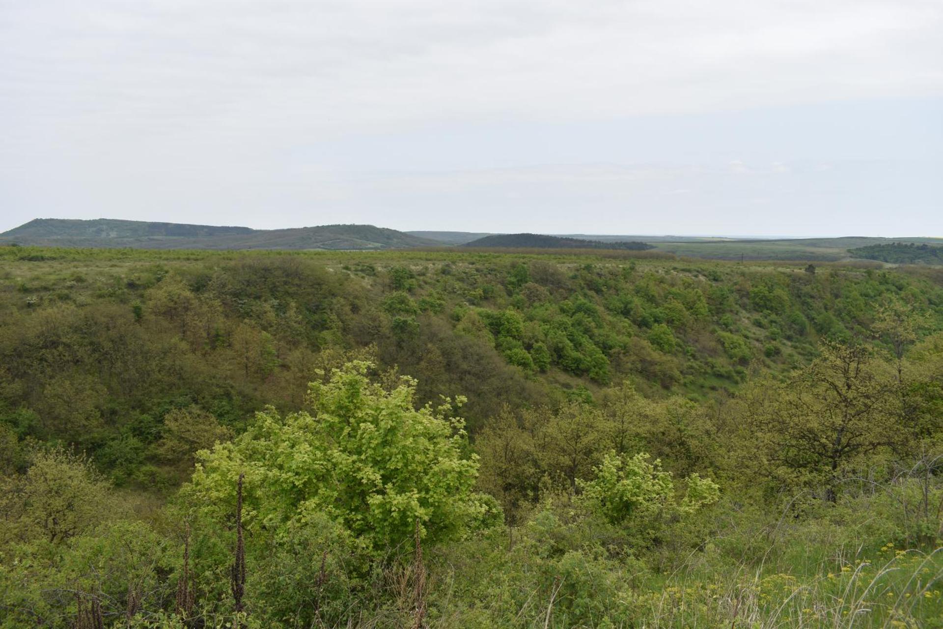 Csodaszarvas Vendégház