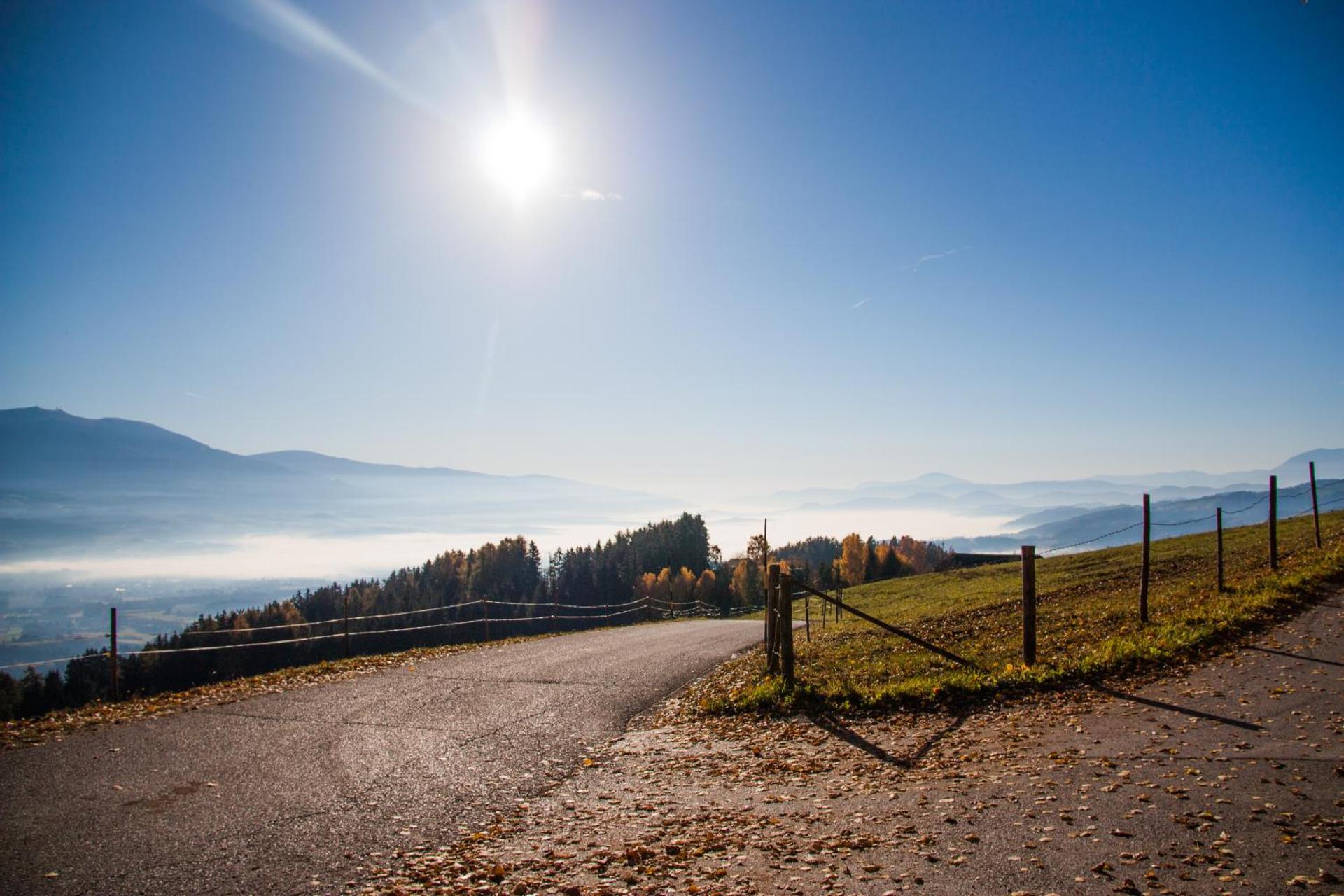 Gasthof Pension Zoller