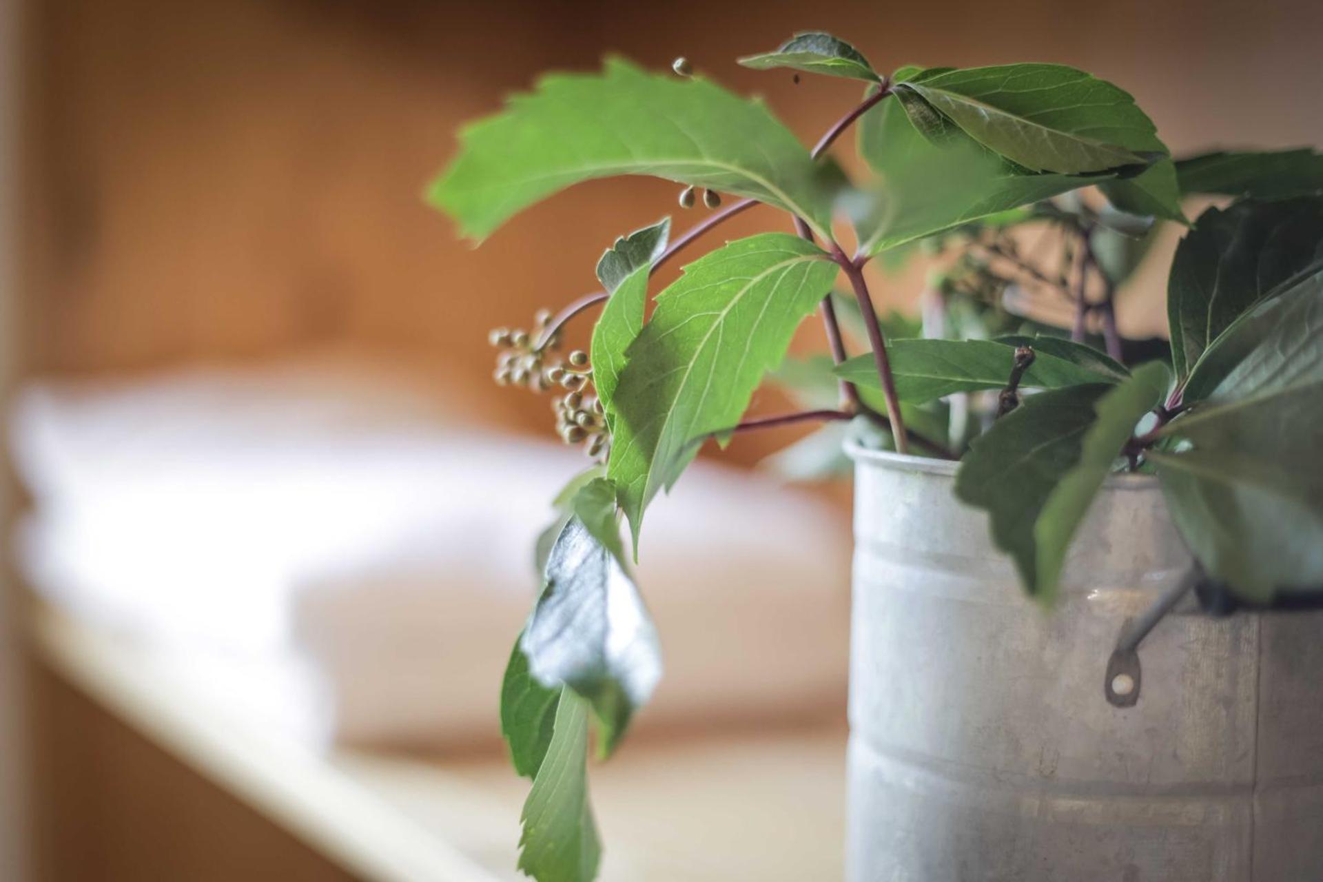 Dobringers Chalet-Dorf Warös