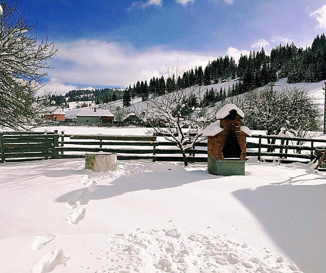 Nexus Kulcsoshaz Bukkloka Gyimes