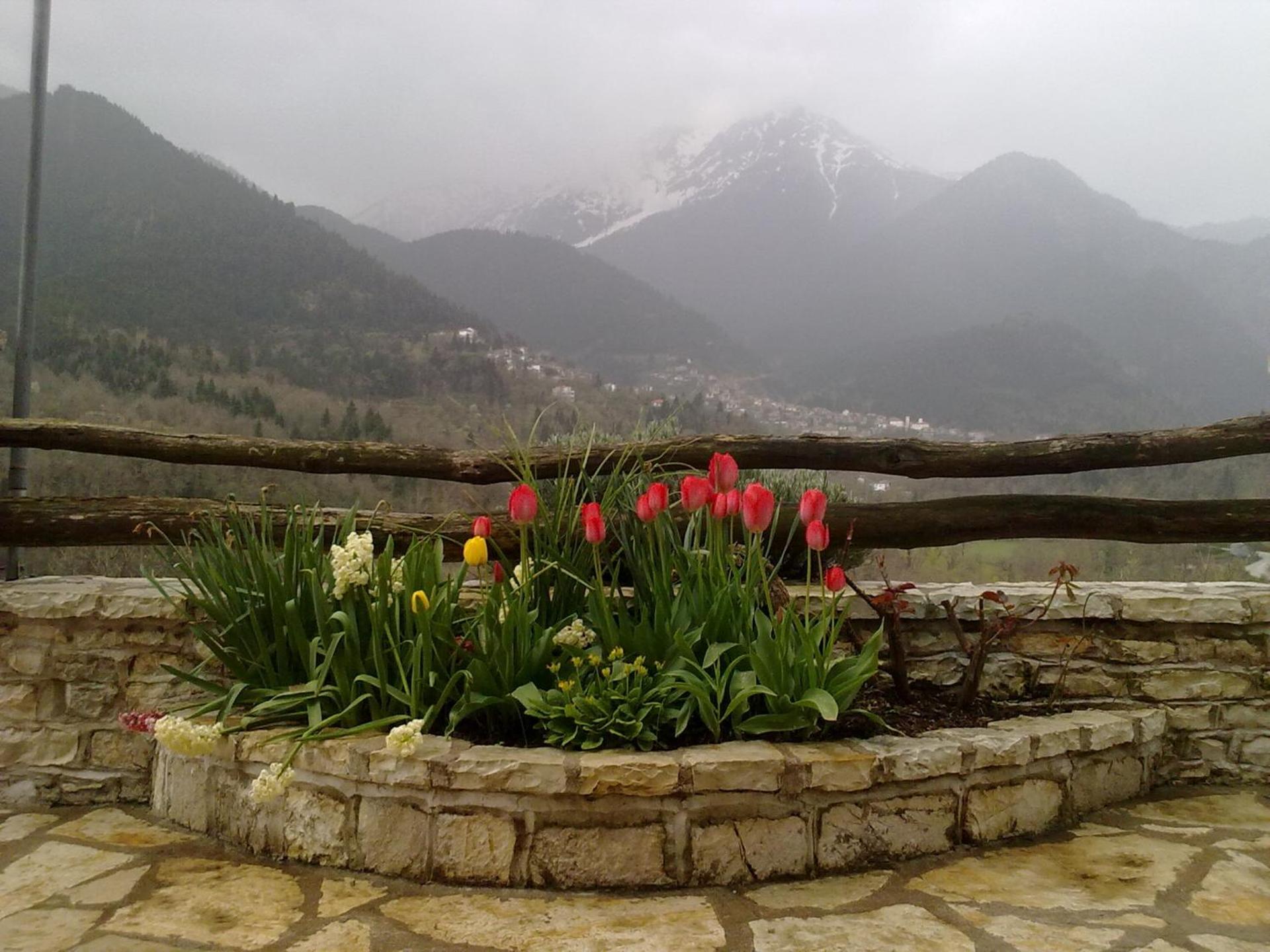 View (from property/room)