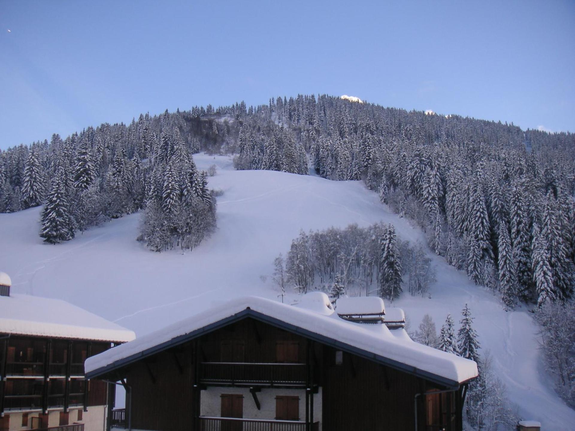 View (from property/room)