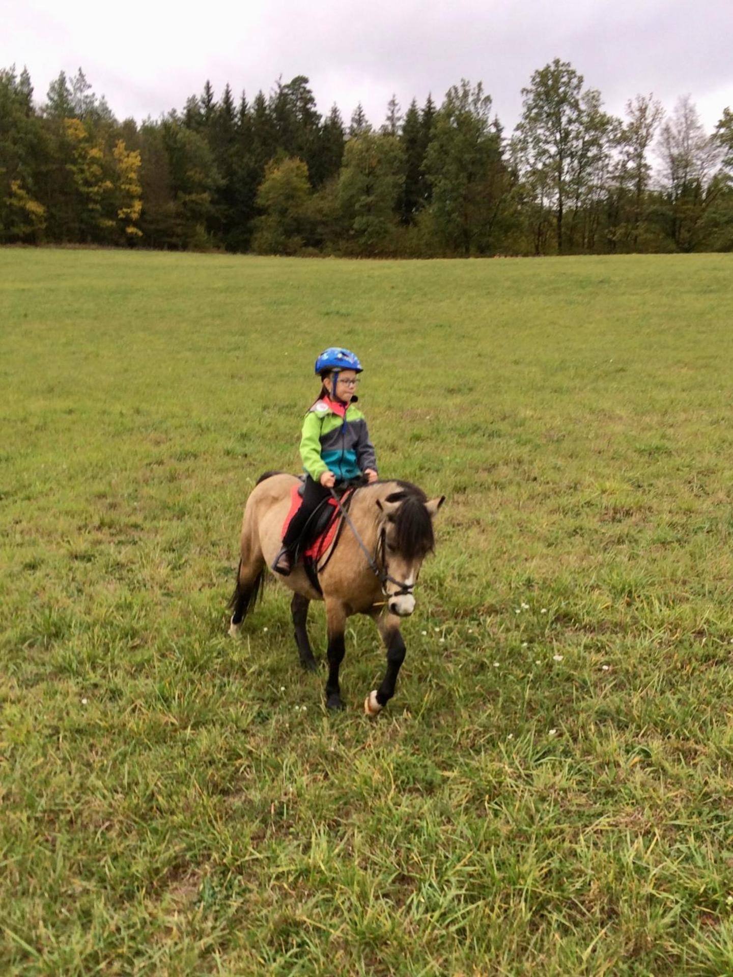 Penzion Starý Pivovar