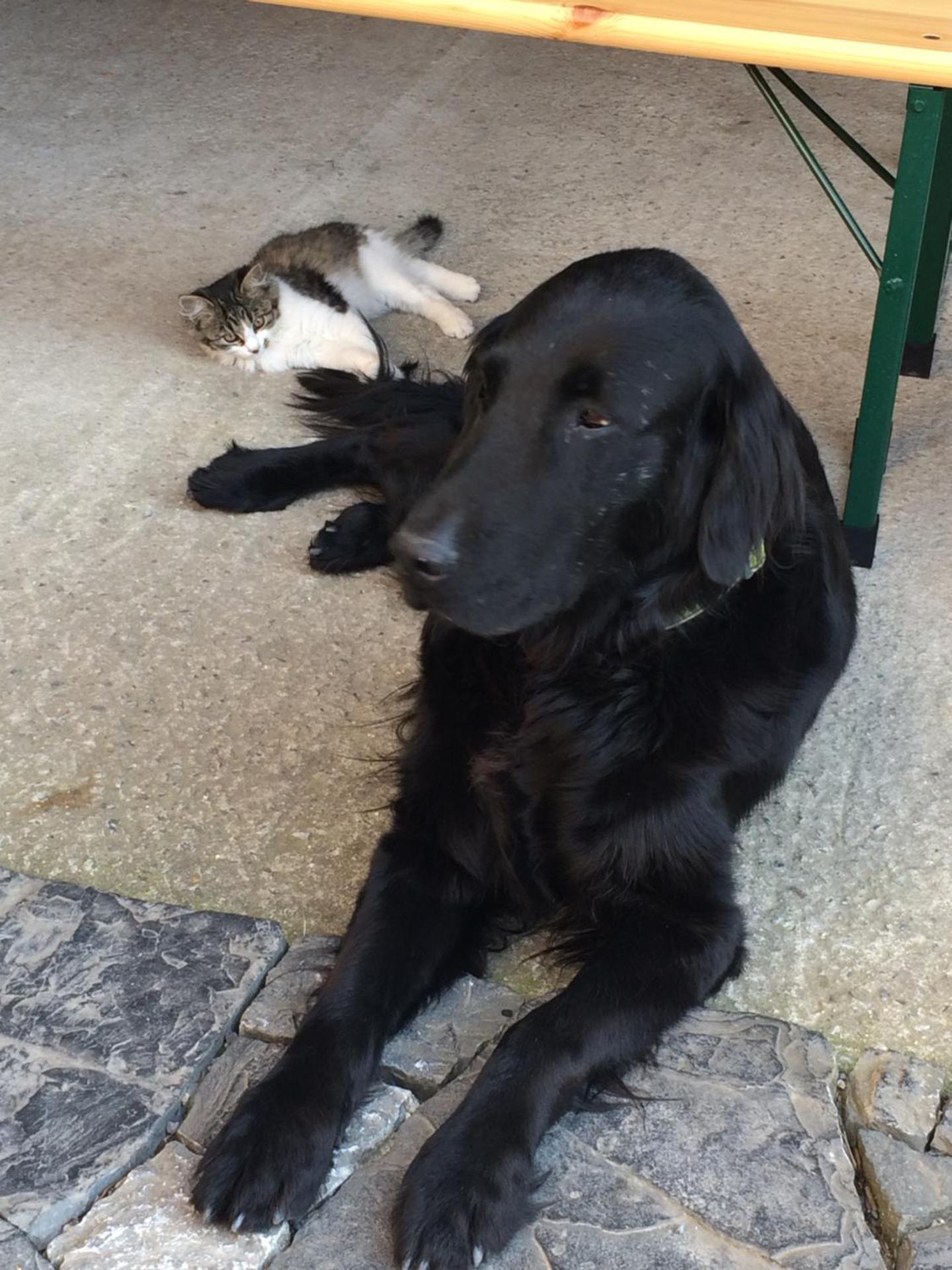 Penzion Starý Pivovar