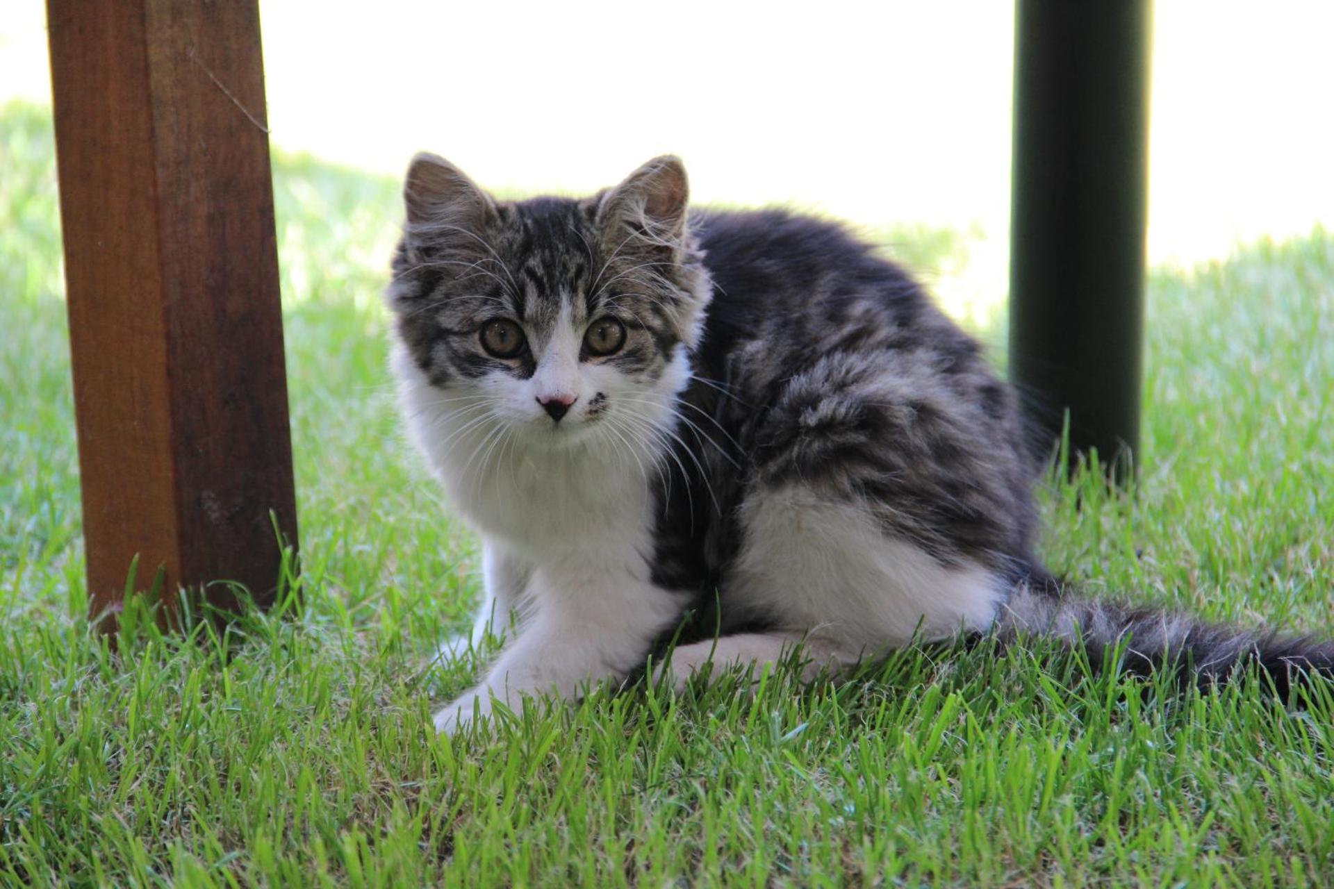 Penzion Starý Pivovar