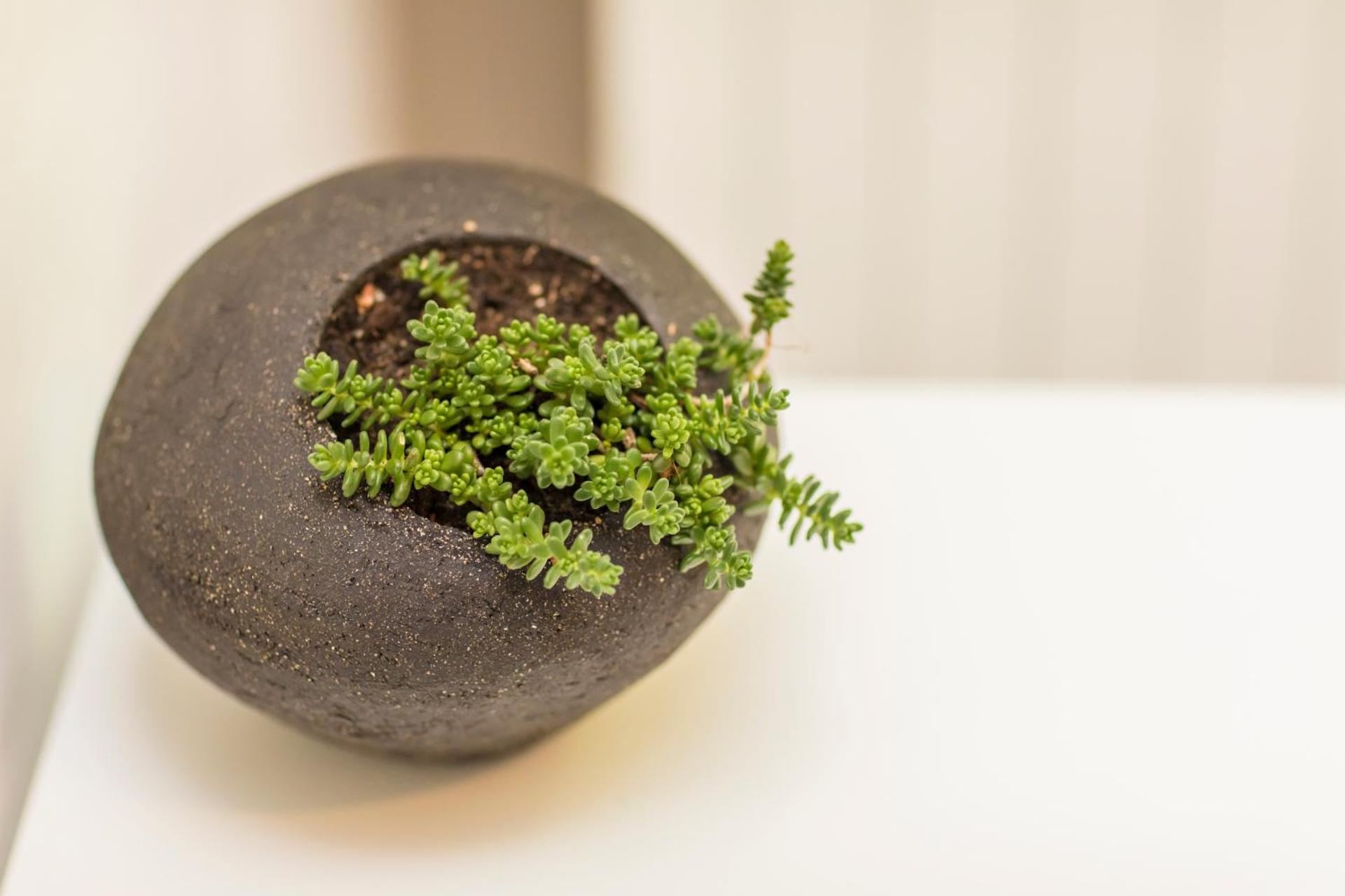 Auberge de la Cauquiere