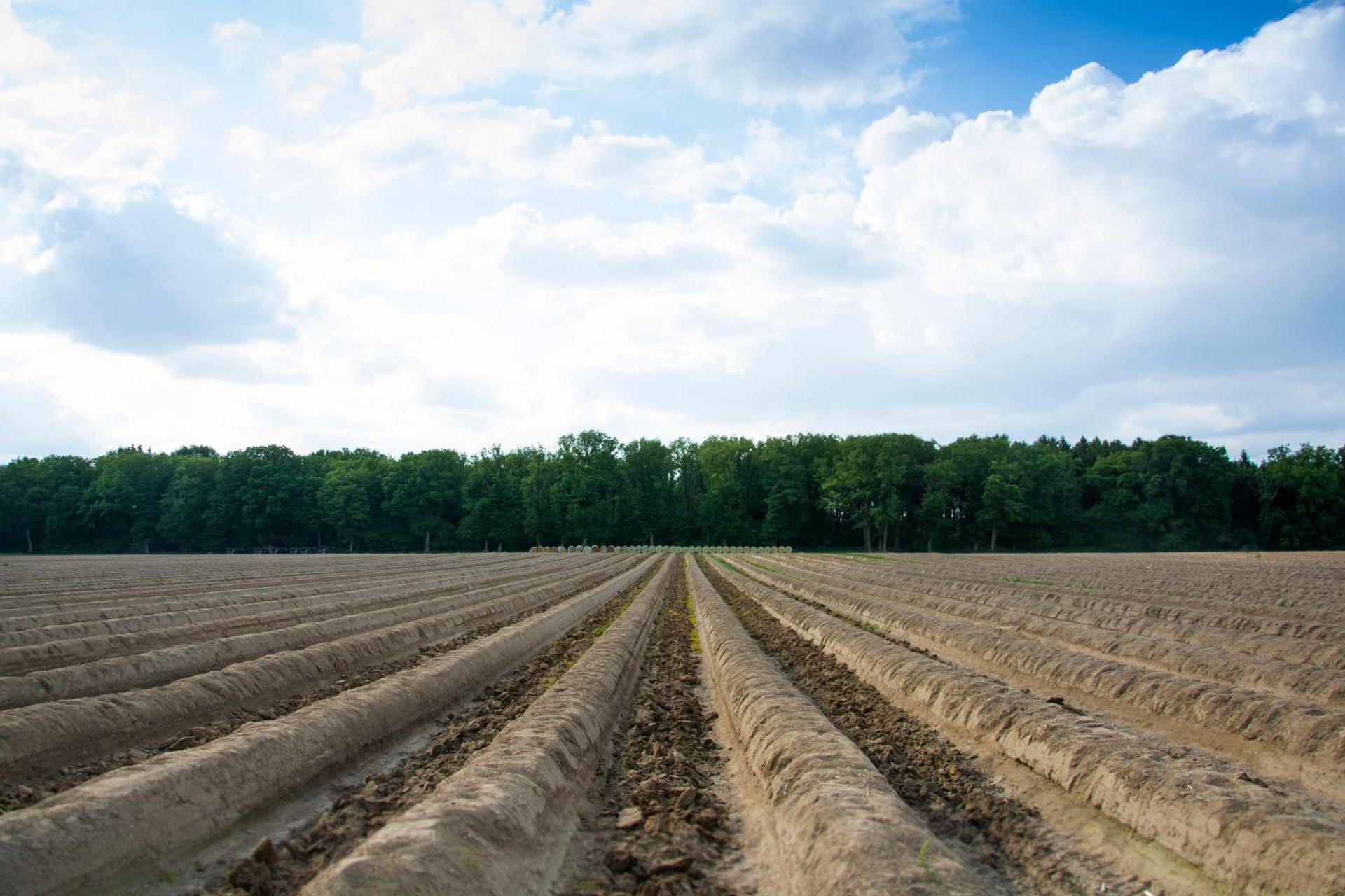 Hotel - Restaurant Lakerhof