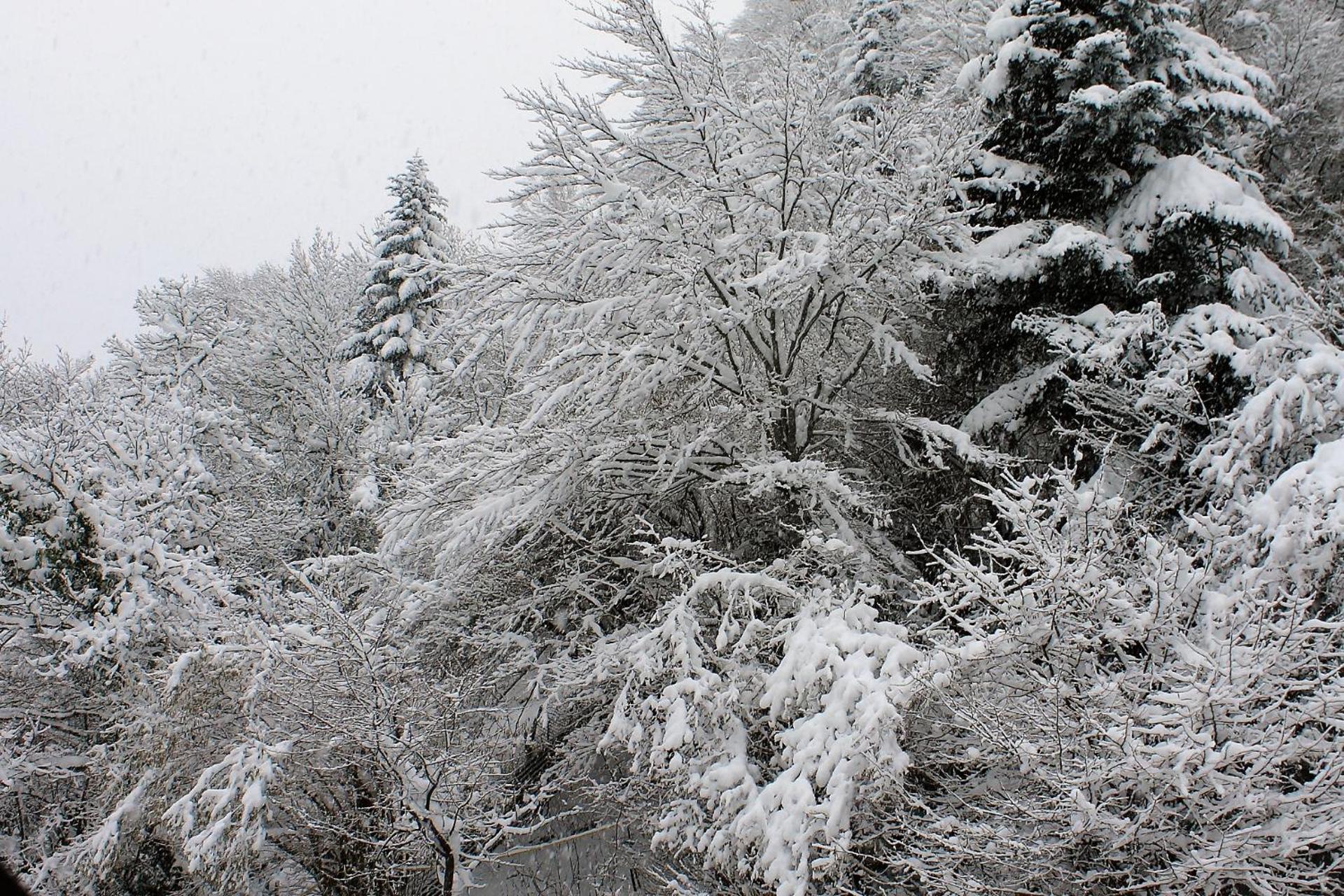 Hôtel Le Relais de Piau