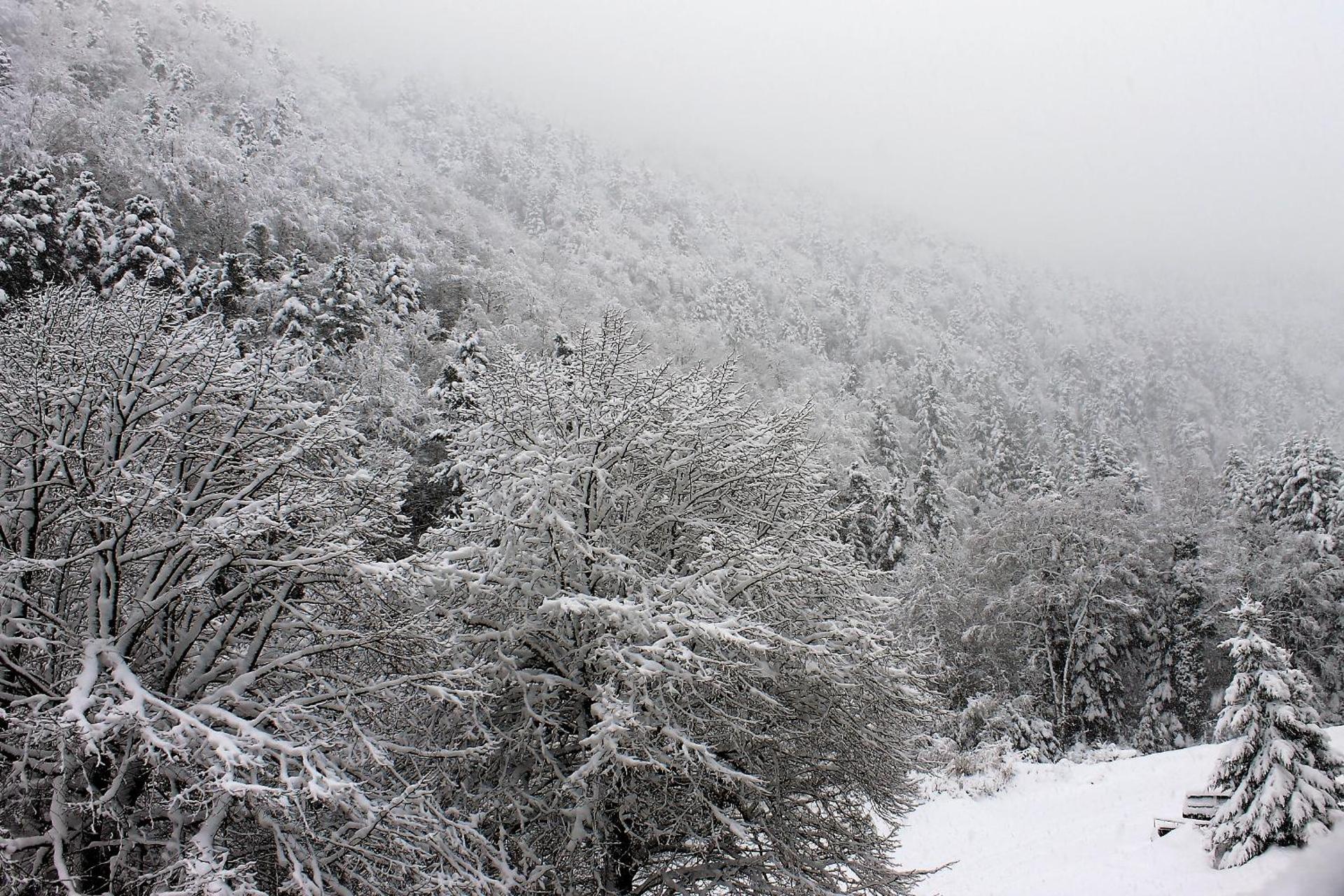 Hôtel Le Relais de Piau