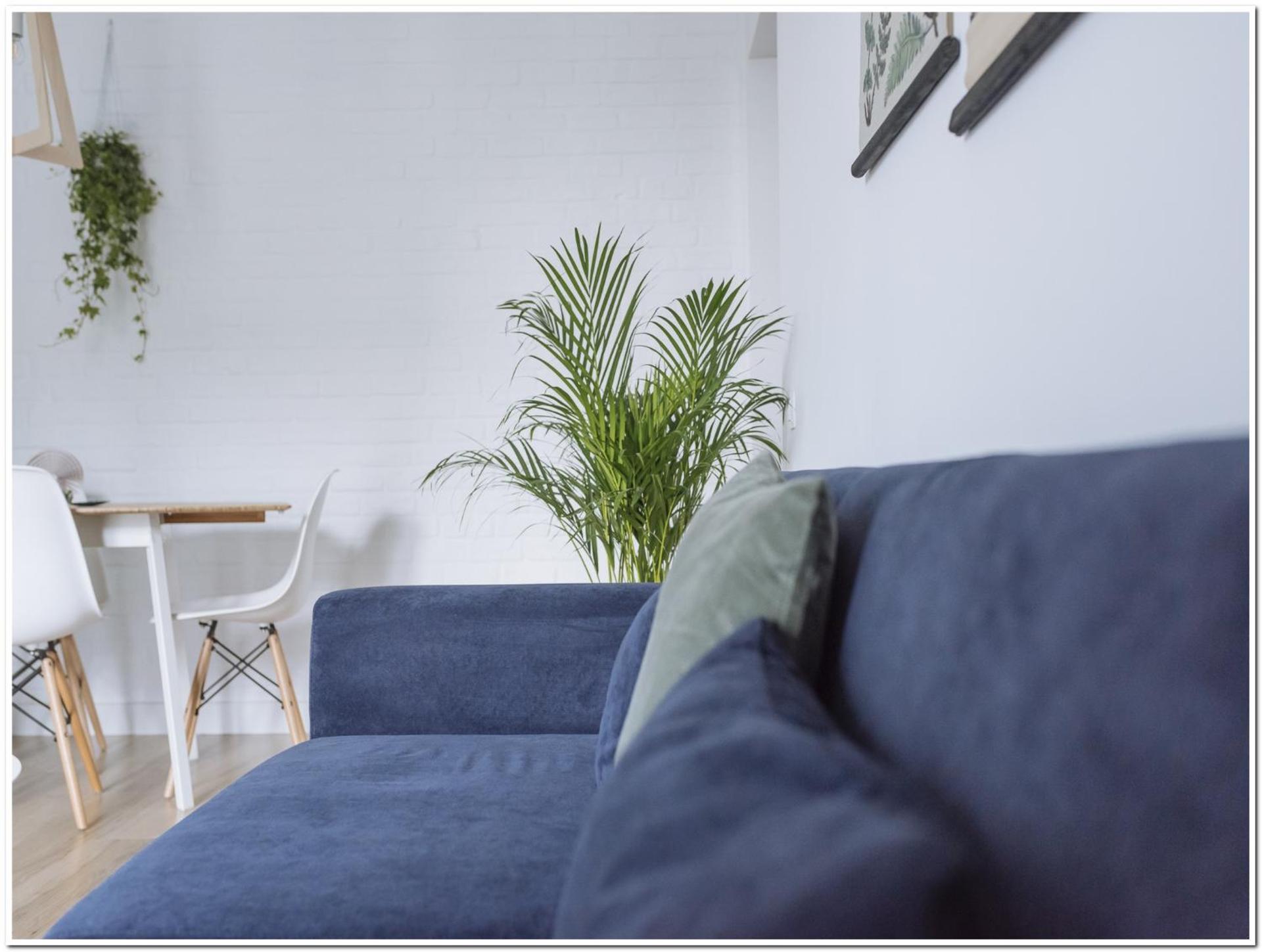 Spacious, lovely, bright apartment in the Old Town