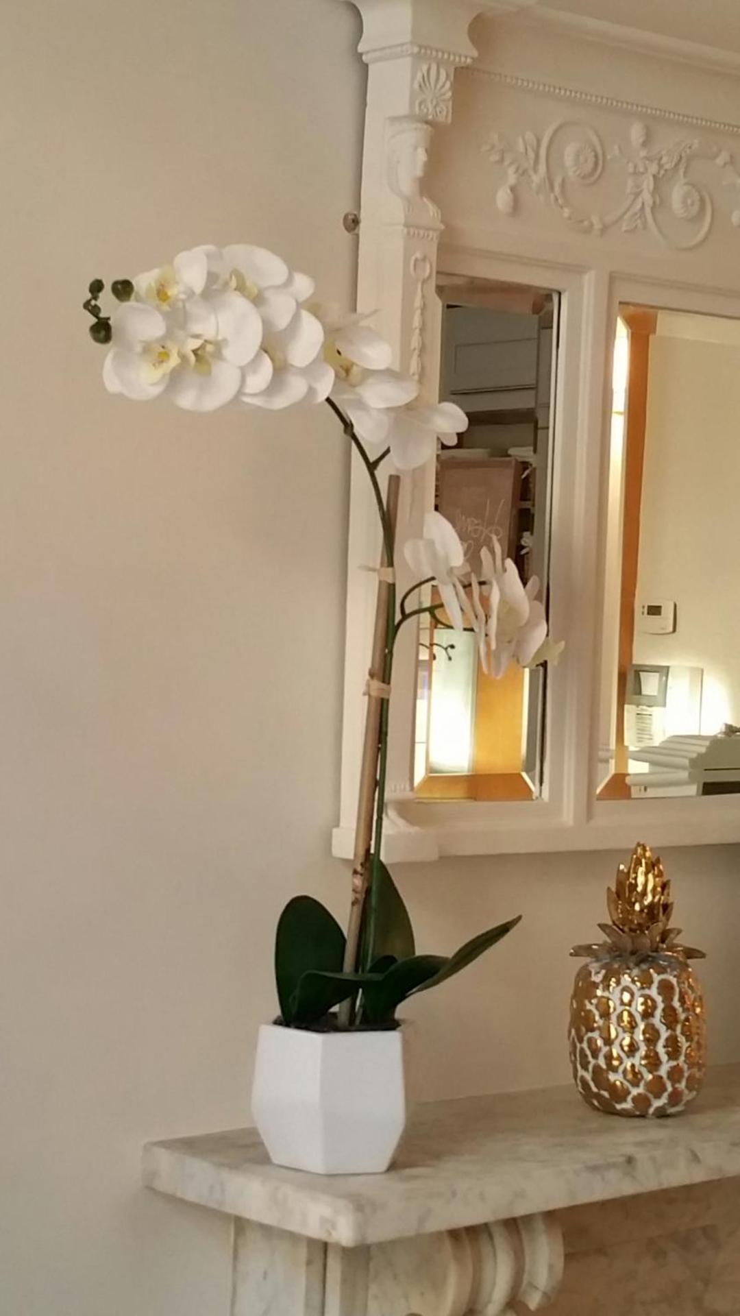 Madge House Ashbourne