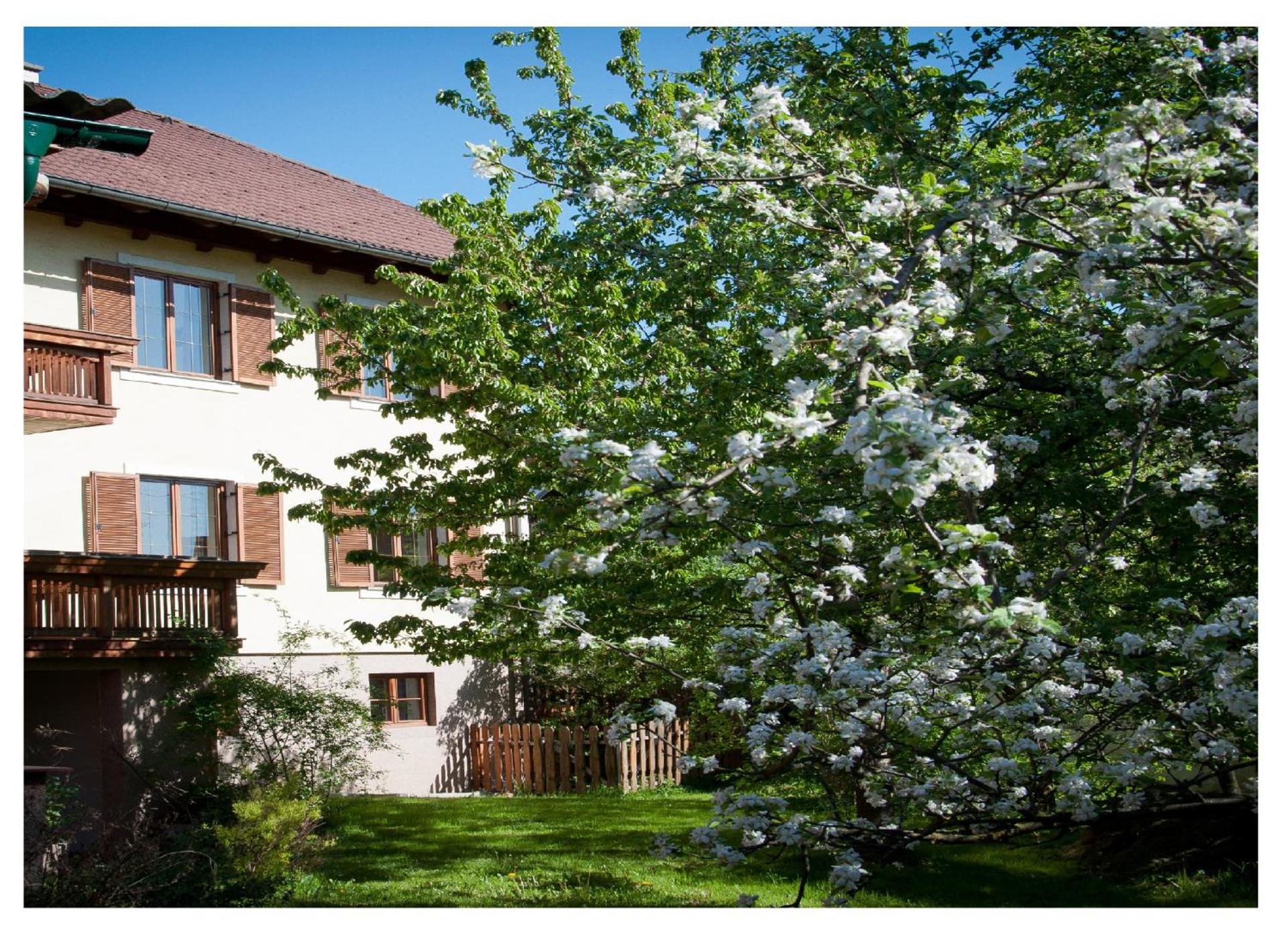 Apartments Himmelreich