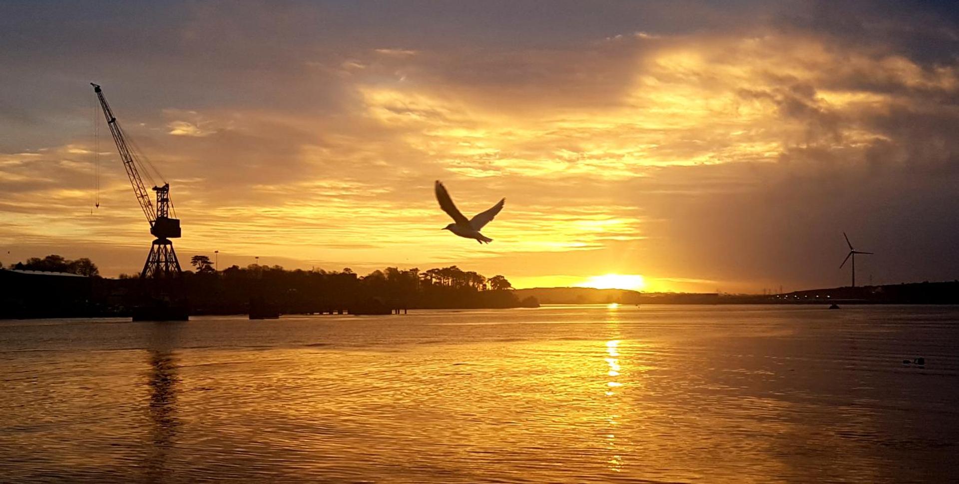 The Coach House Douglas