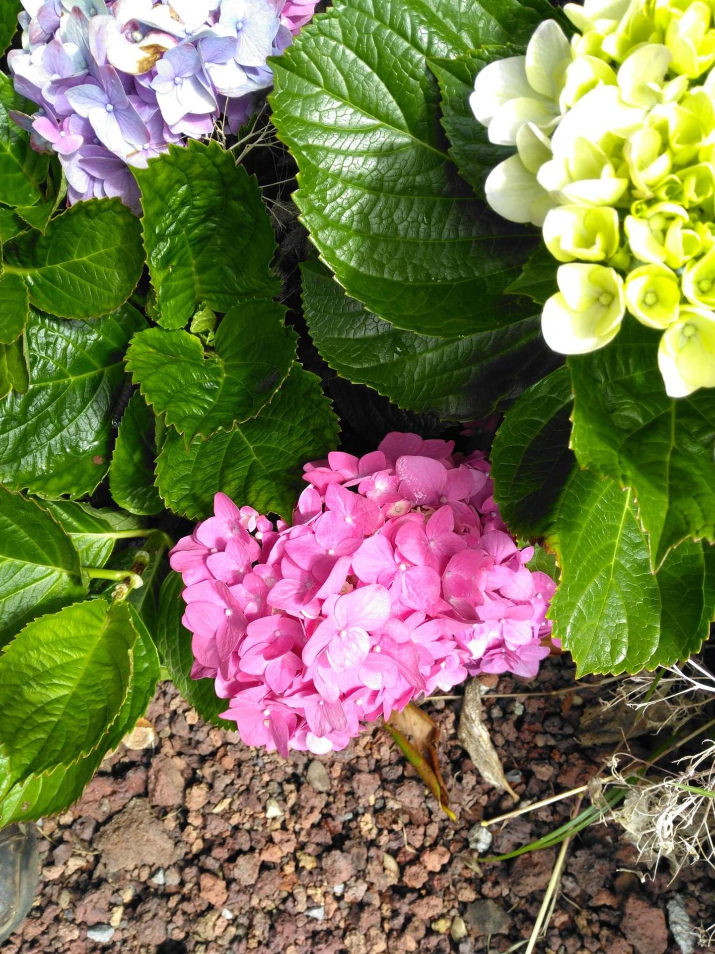 Quinta Nossa Senhora de Lourdes