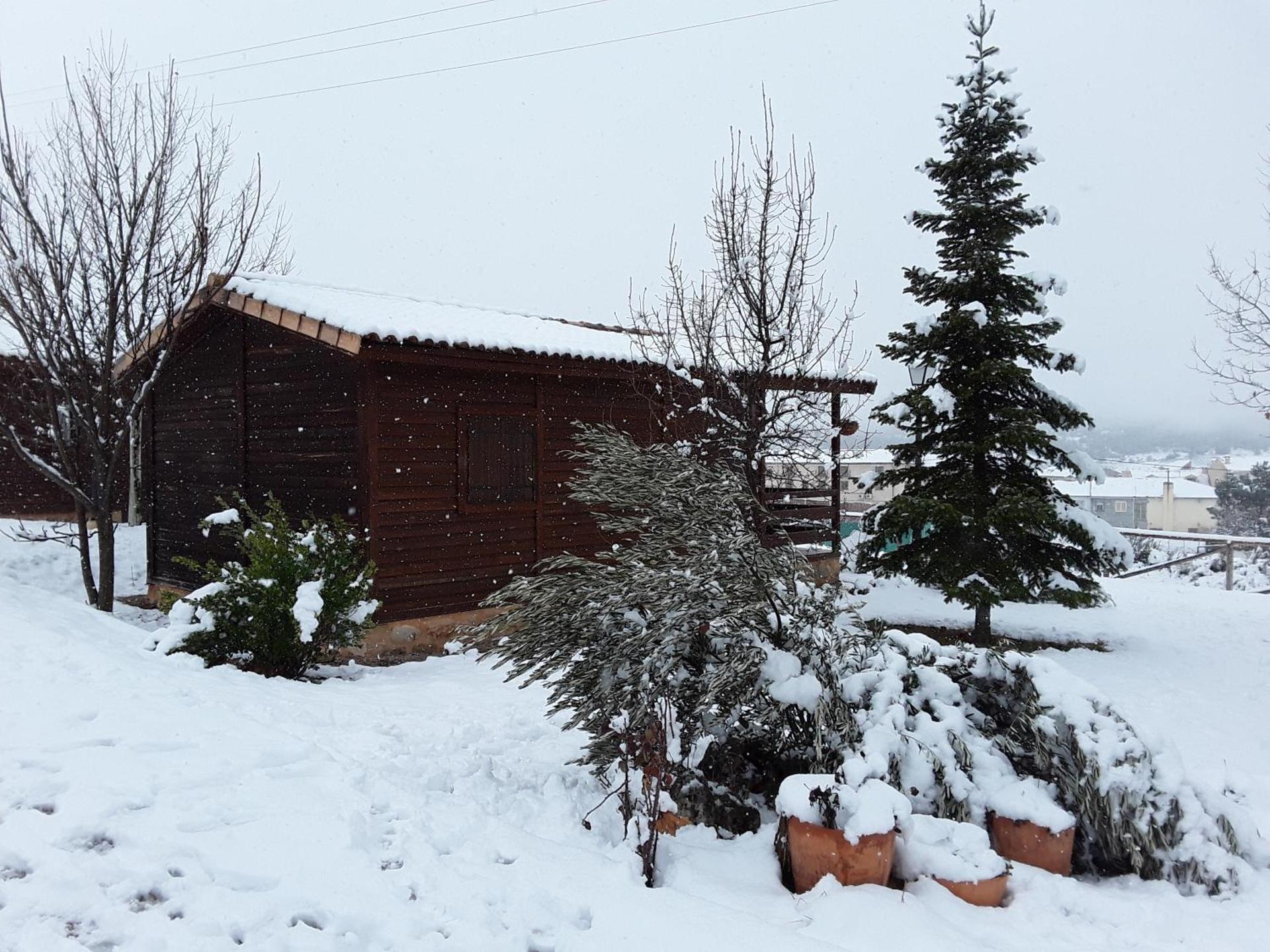 Two-Bedroom Bungalow