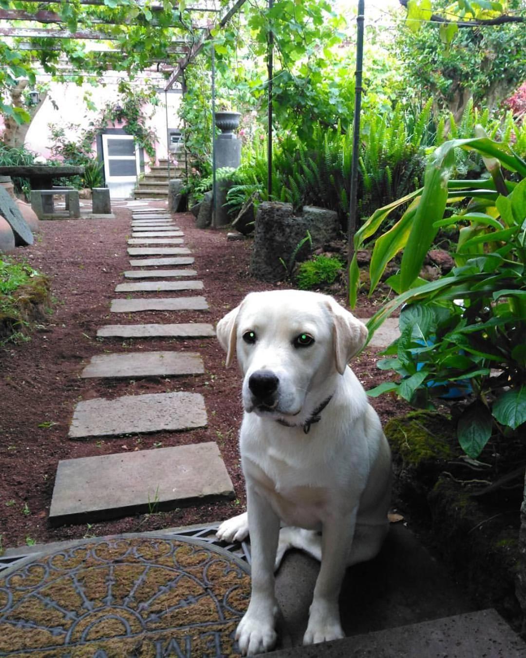 Quinta Nossa Senhora de Lourdes