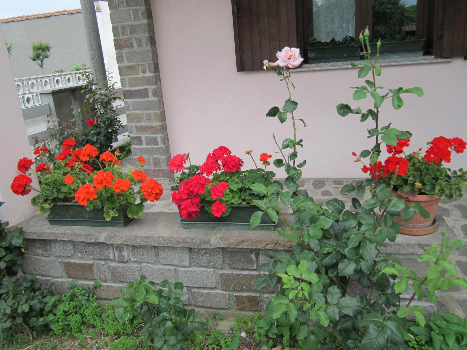 Le 3 Camelie Malpensa