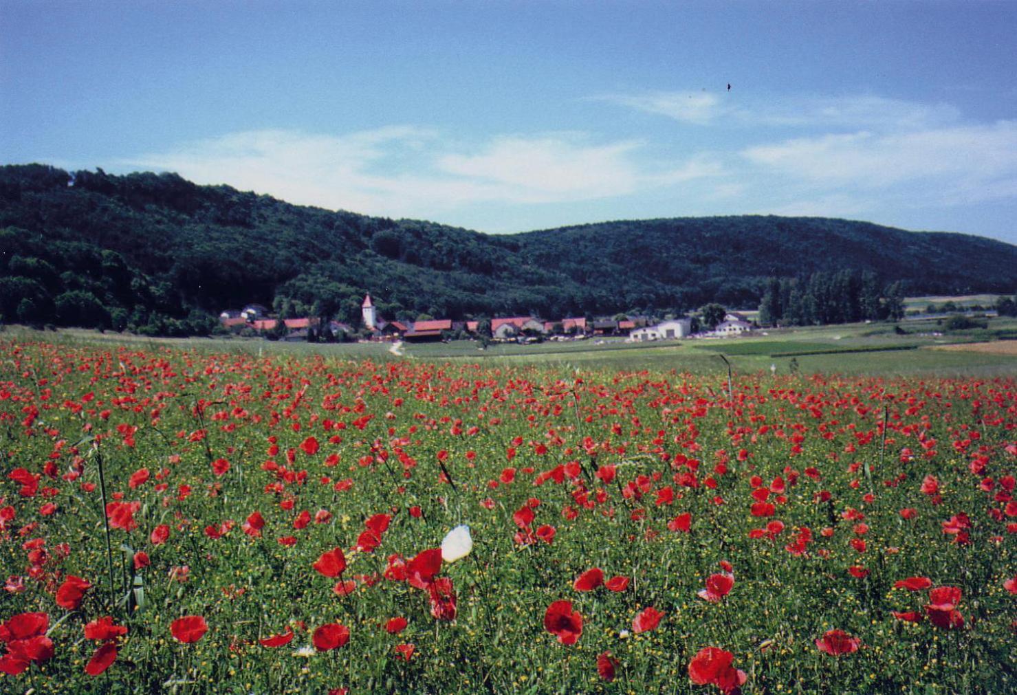 Landgasthof Wagner-Zimmermann