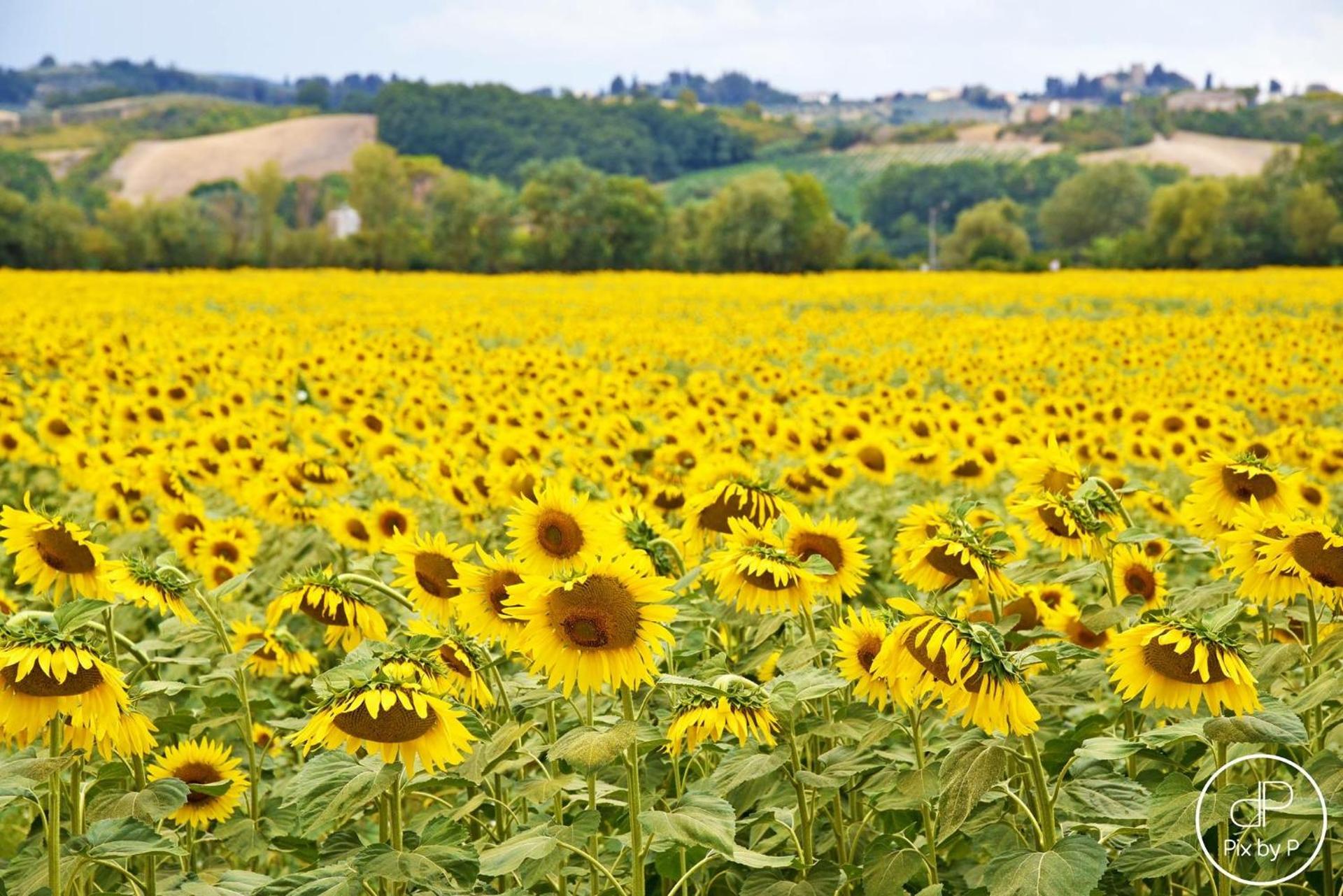 Agriturismo Tre Madonne