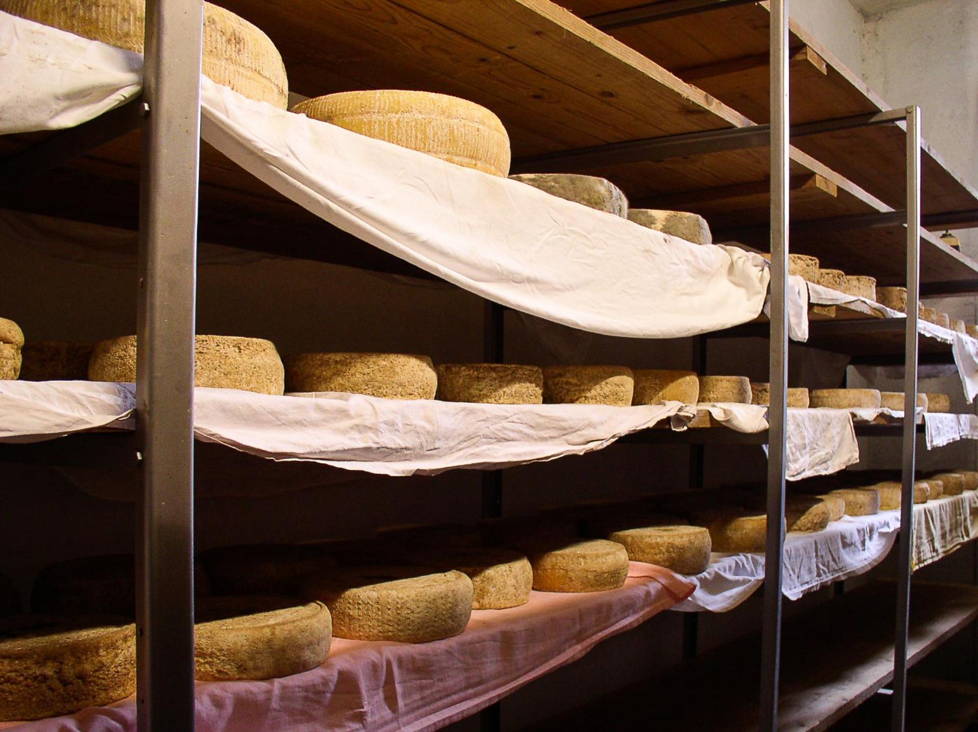 Agriturismo Barba Gust