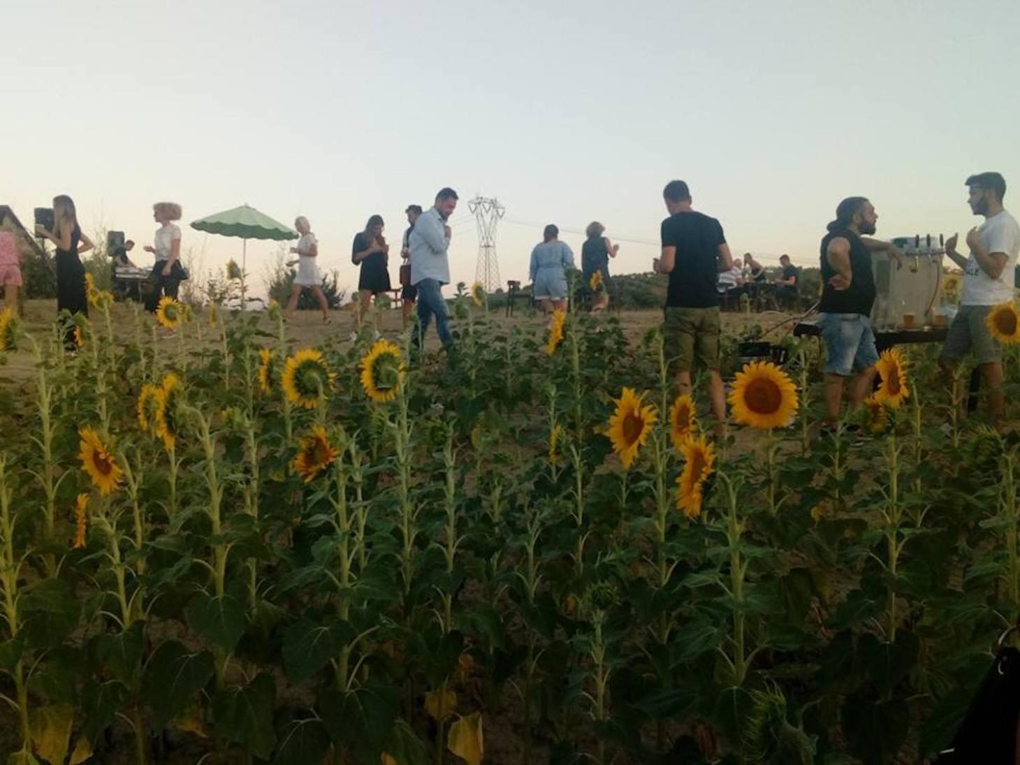 Evening entertainment