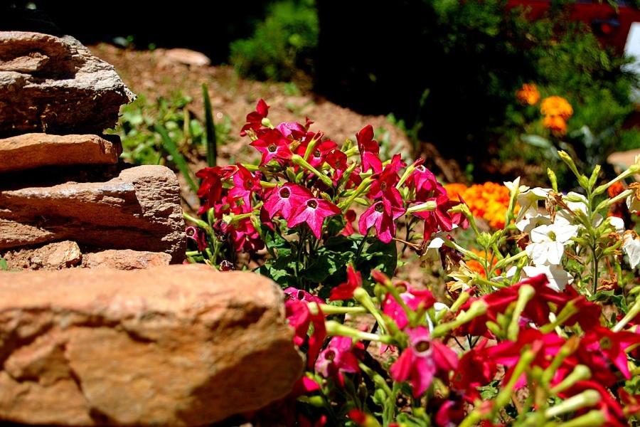 Domek Klimaty- Kamieńczyk