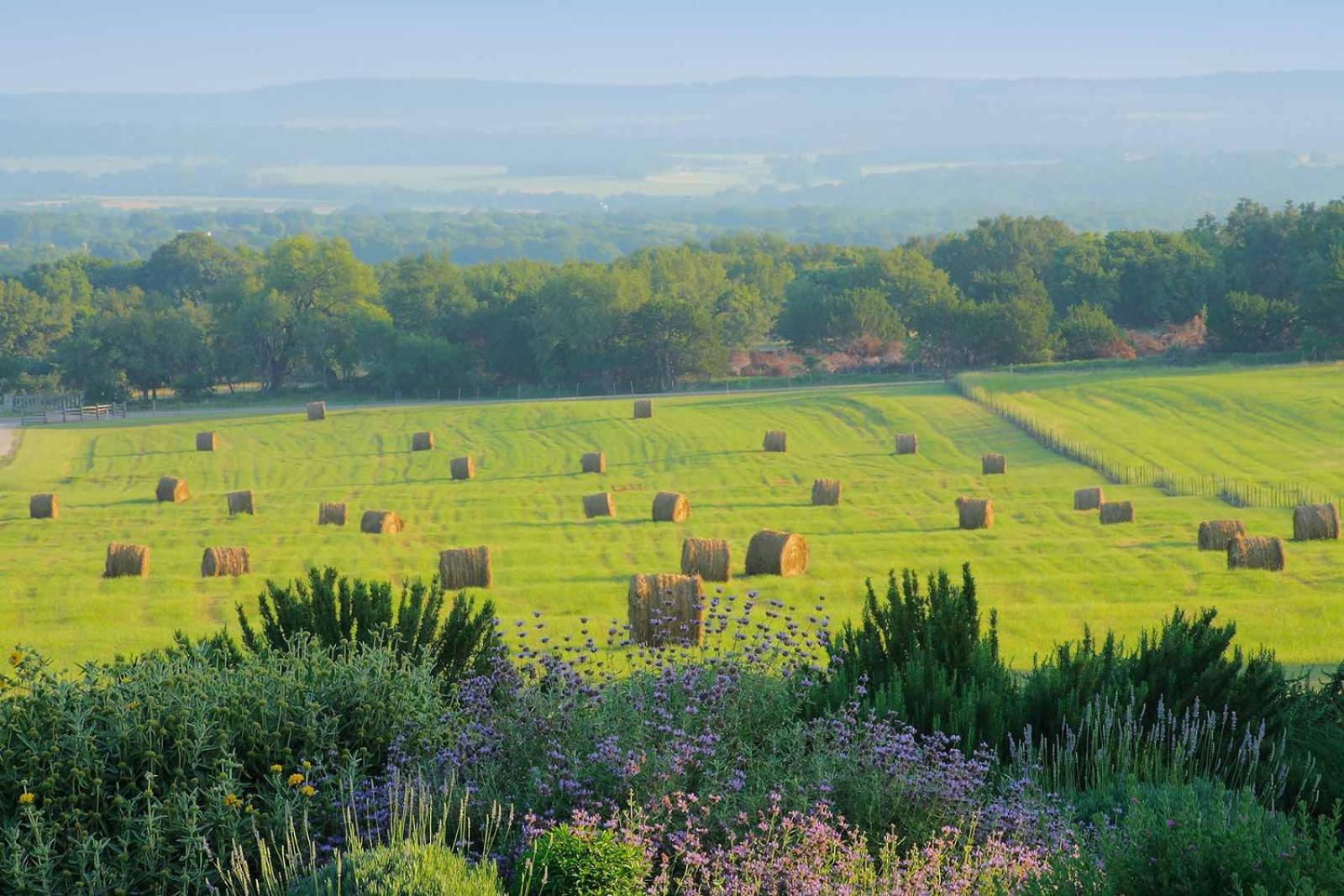 Rose Hill Retreat AAA Four Diamond Inn