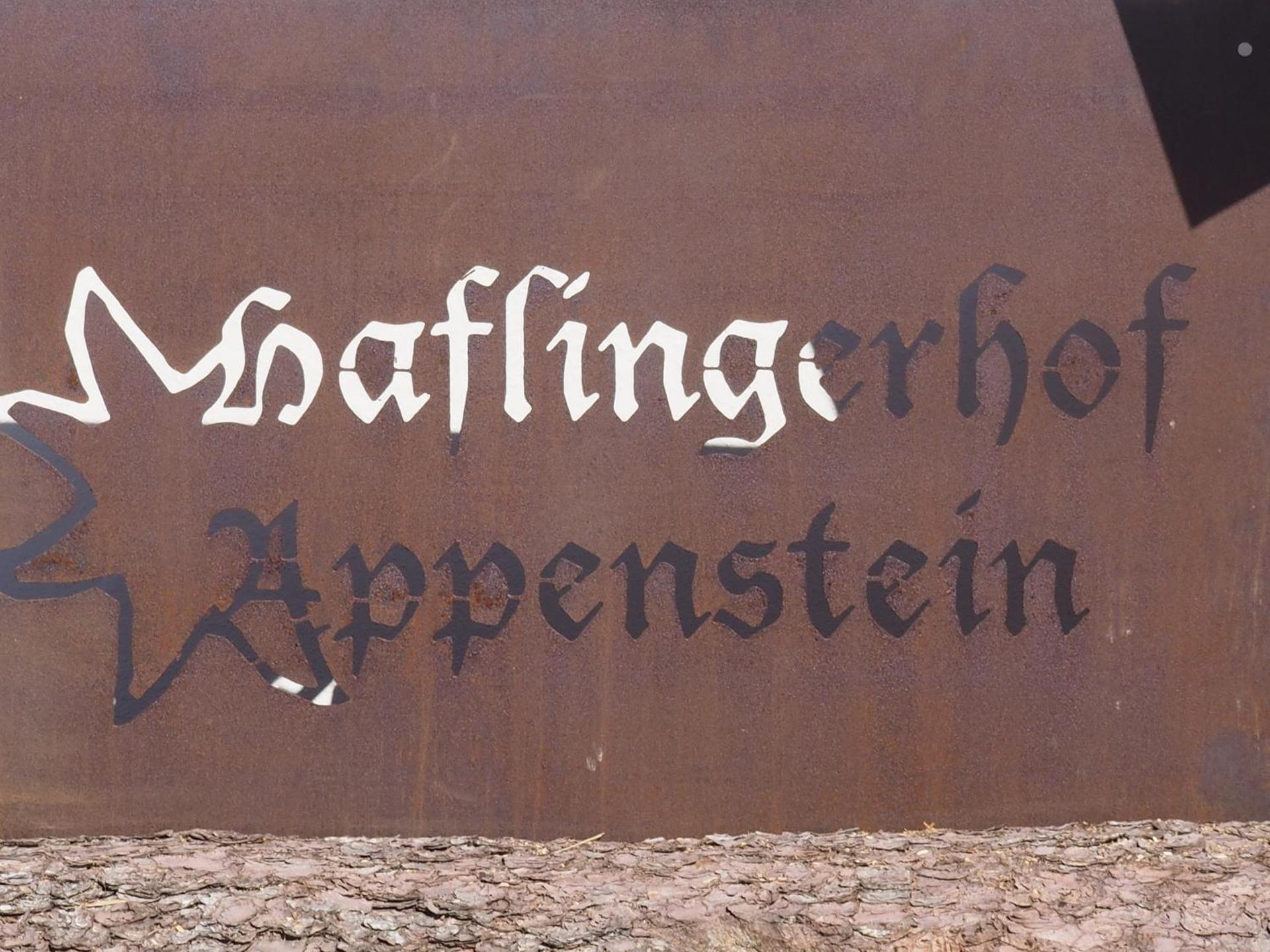 Haflingerhof Appenstein