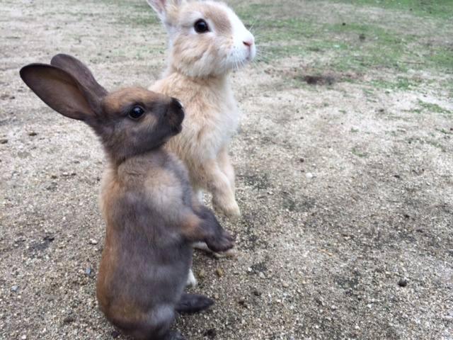 Green Sky Hotel Takehara