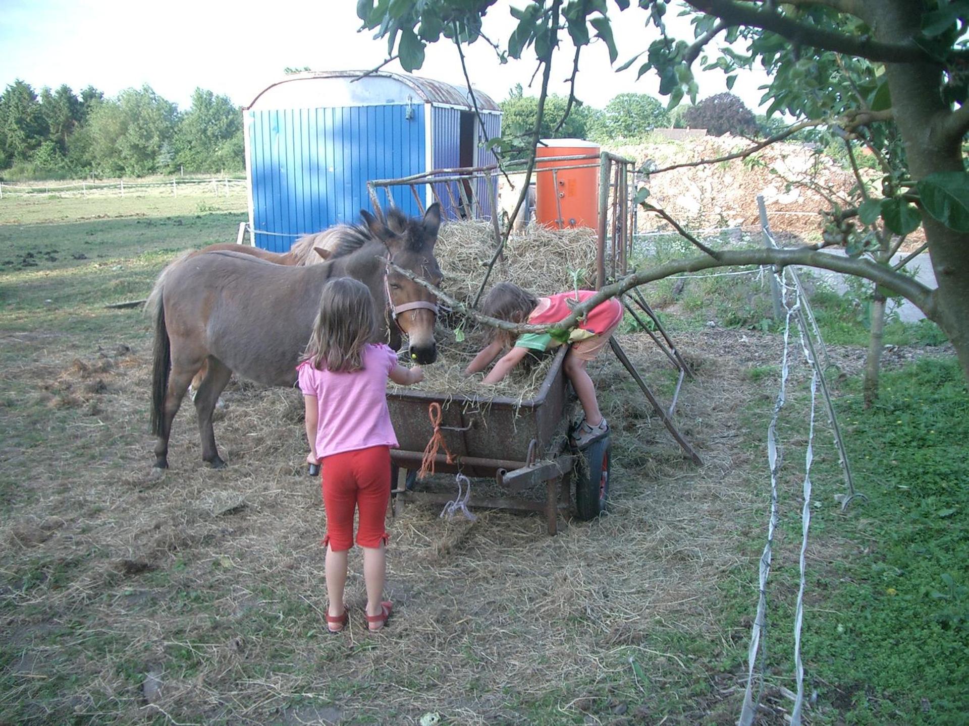 Ferienhof Meyer Landhotel