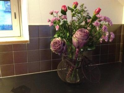 Les Gites Douillets de Sancerre