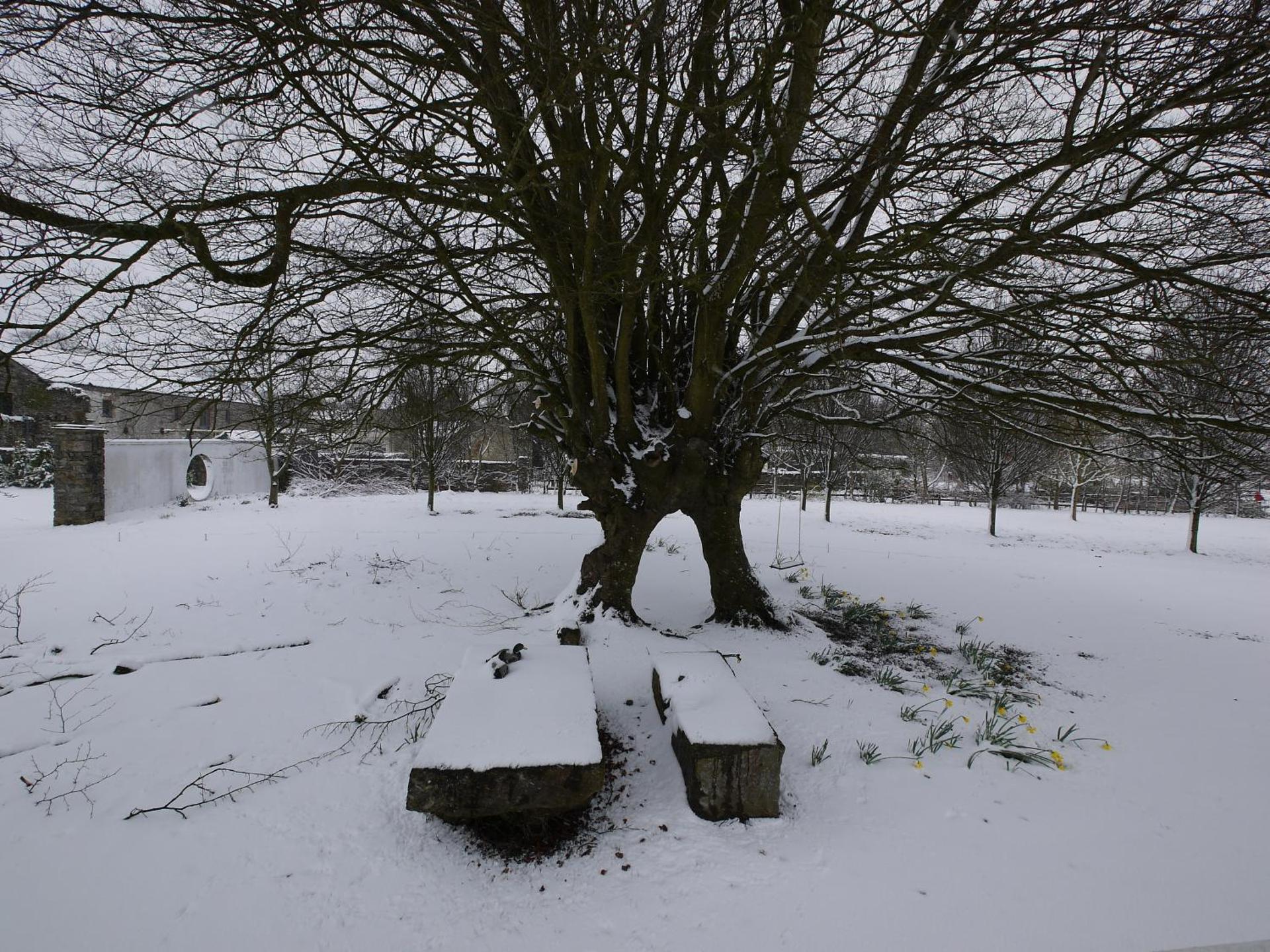 The Carriage Houses at Beechpark House