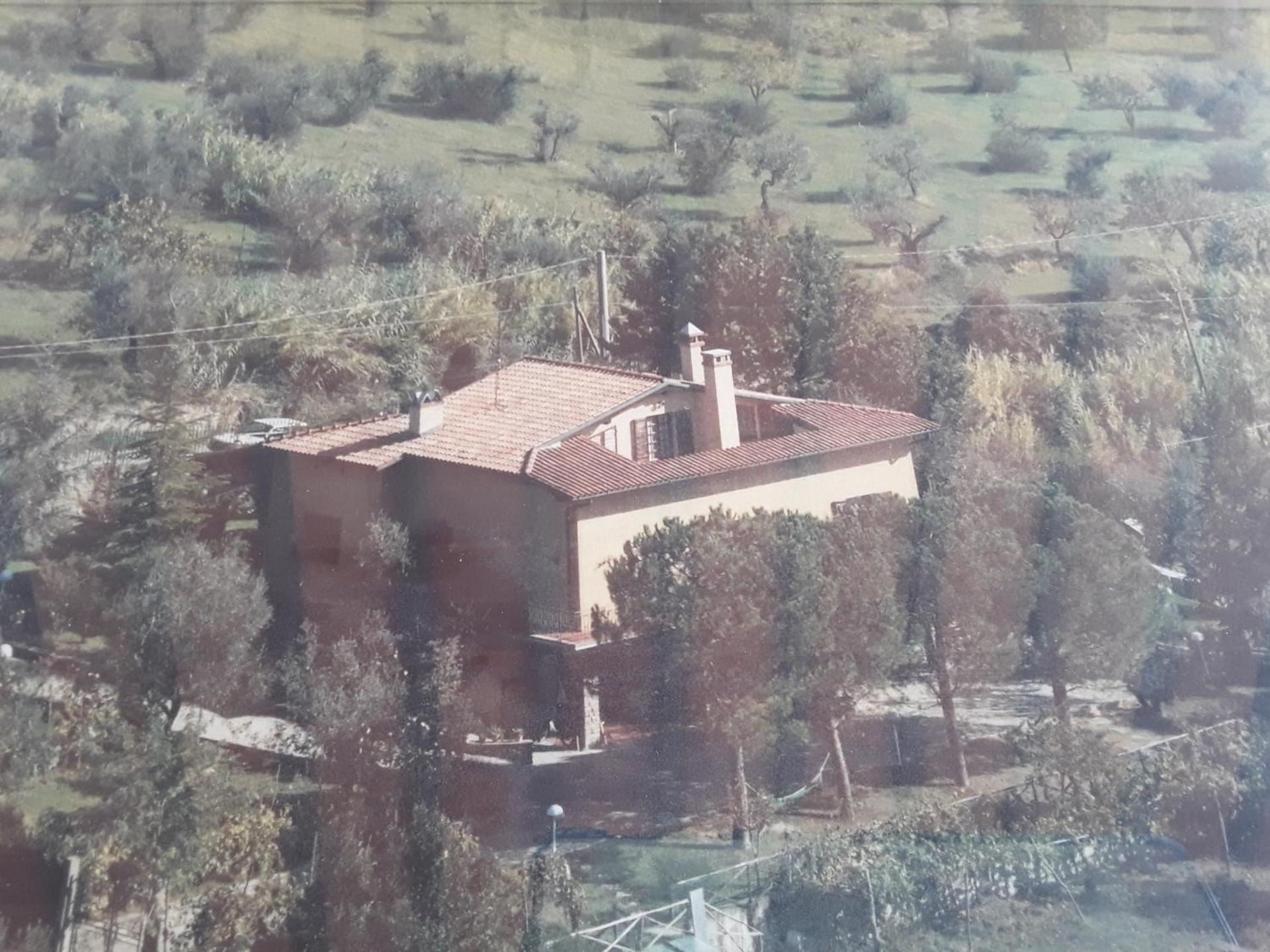 La collina degli olivi