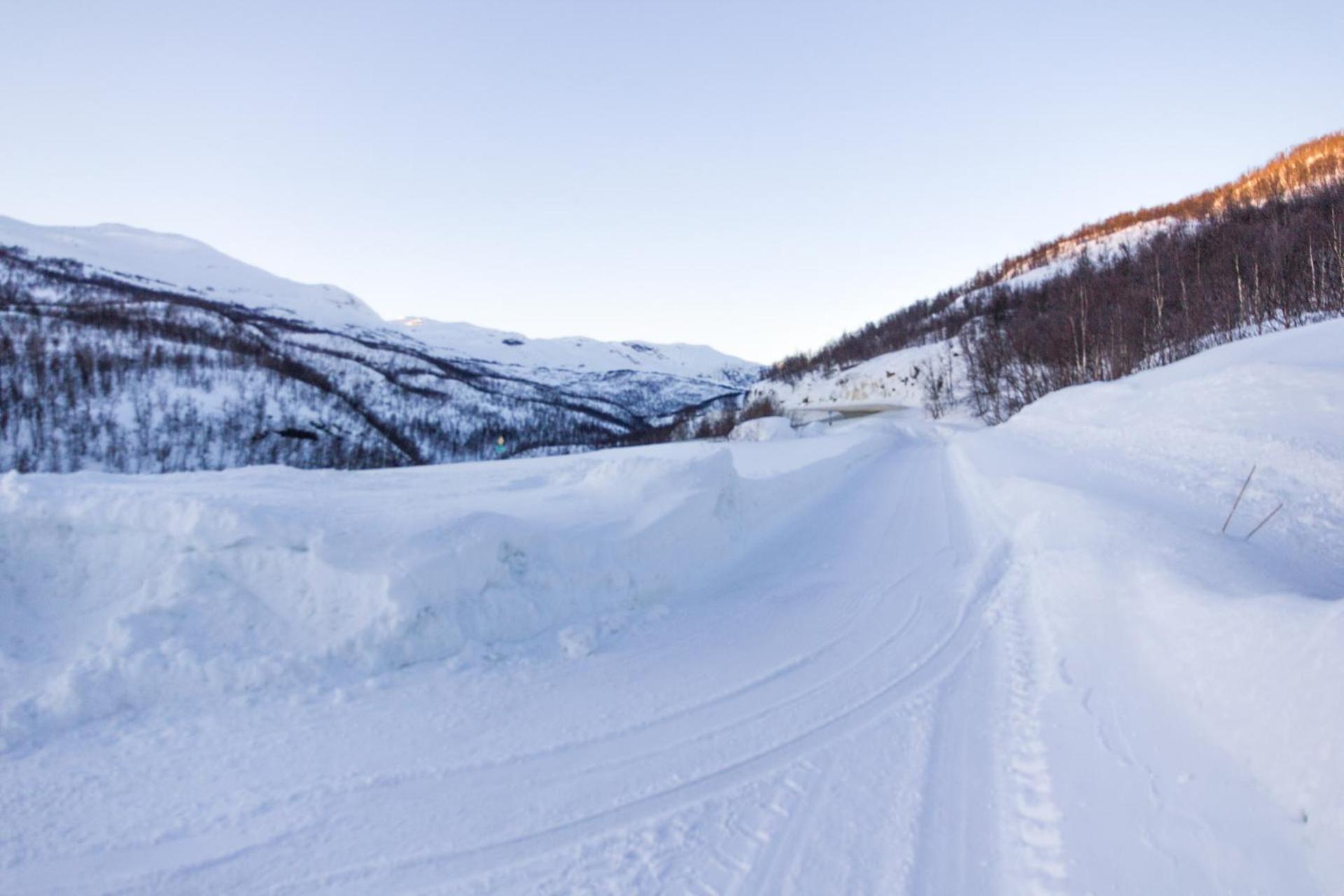 Maristova apartment 109