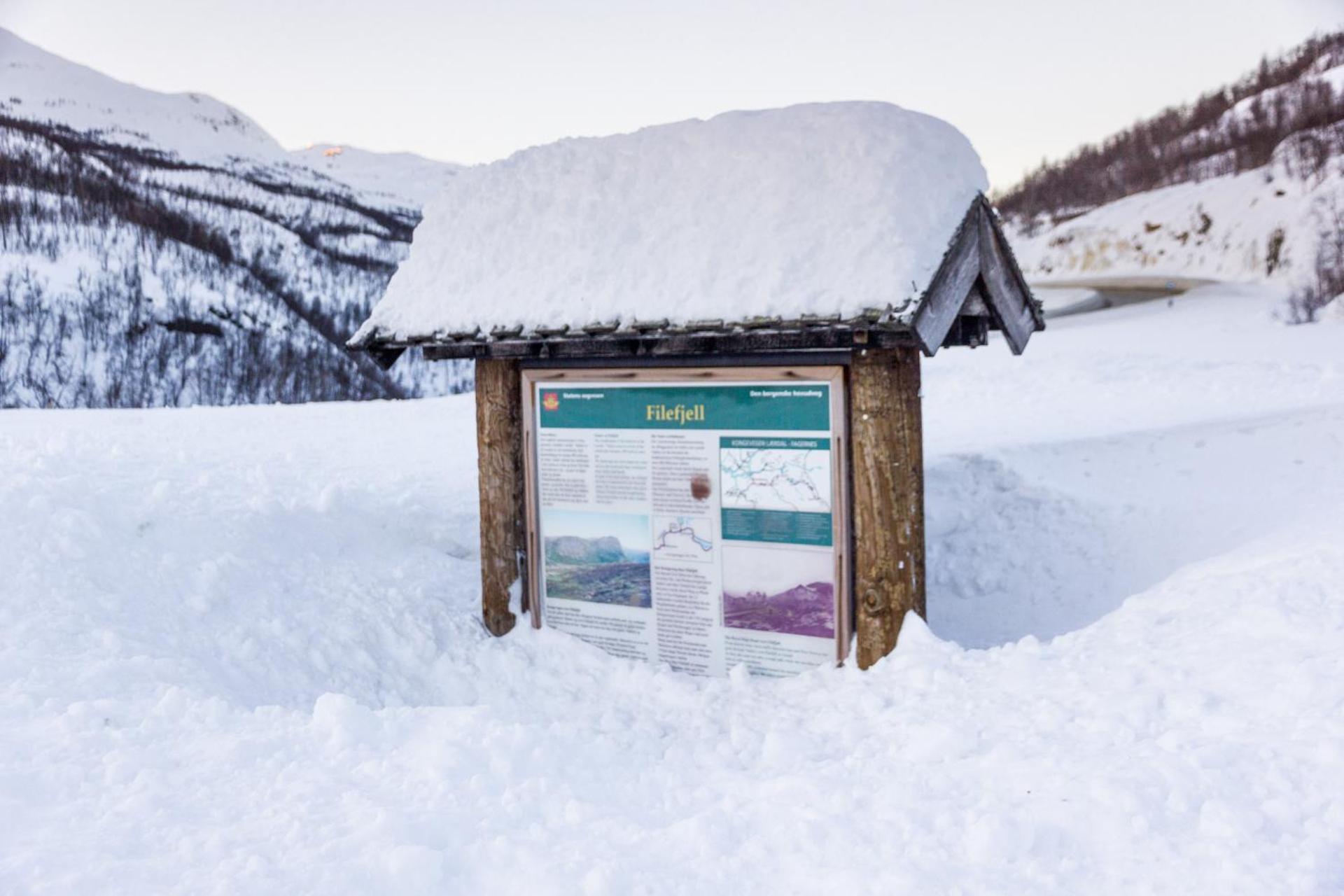 Maristova apartment 109