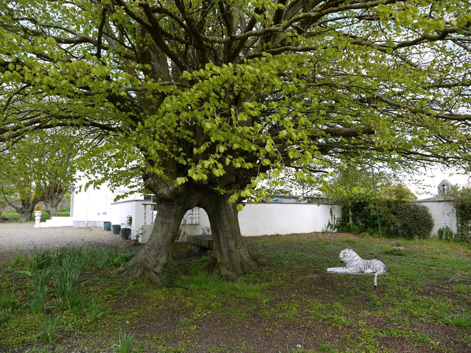 The Carriage Houses at Beechpark House
