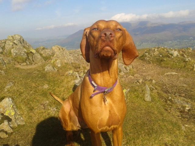 Babbling Brook Guesthouse