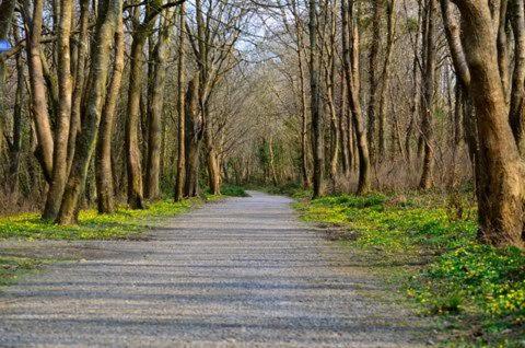 Zoe Bistro & Accommodation