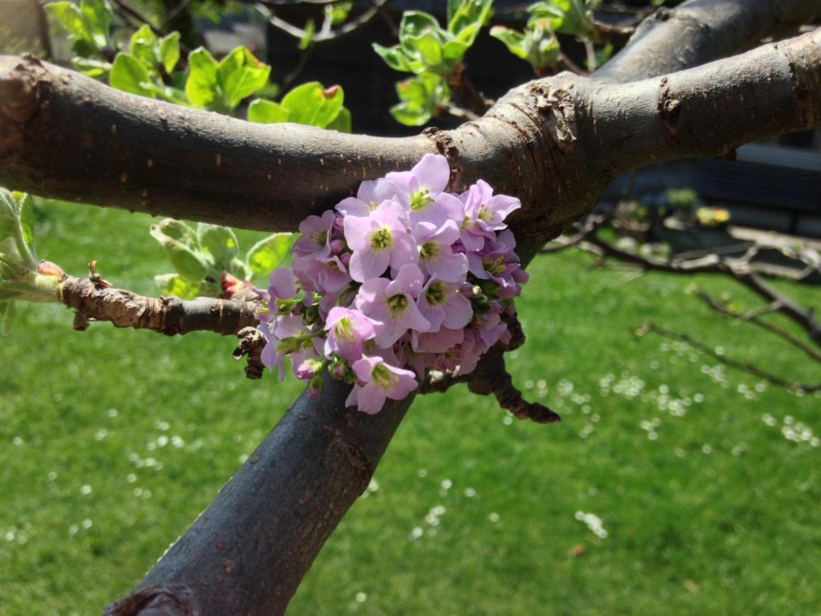 Ferienwohnung Wertvollholzhaus