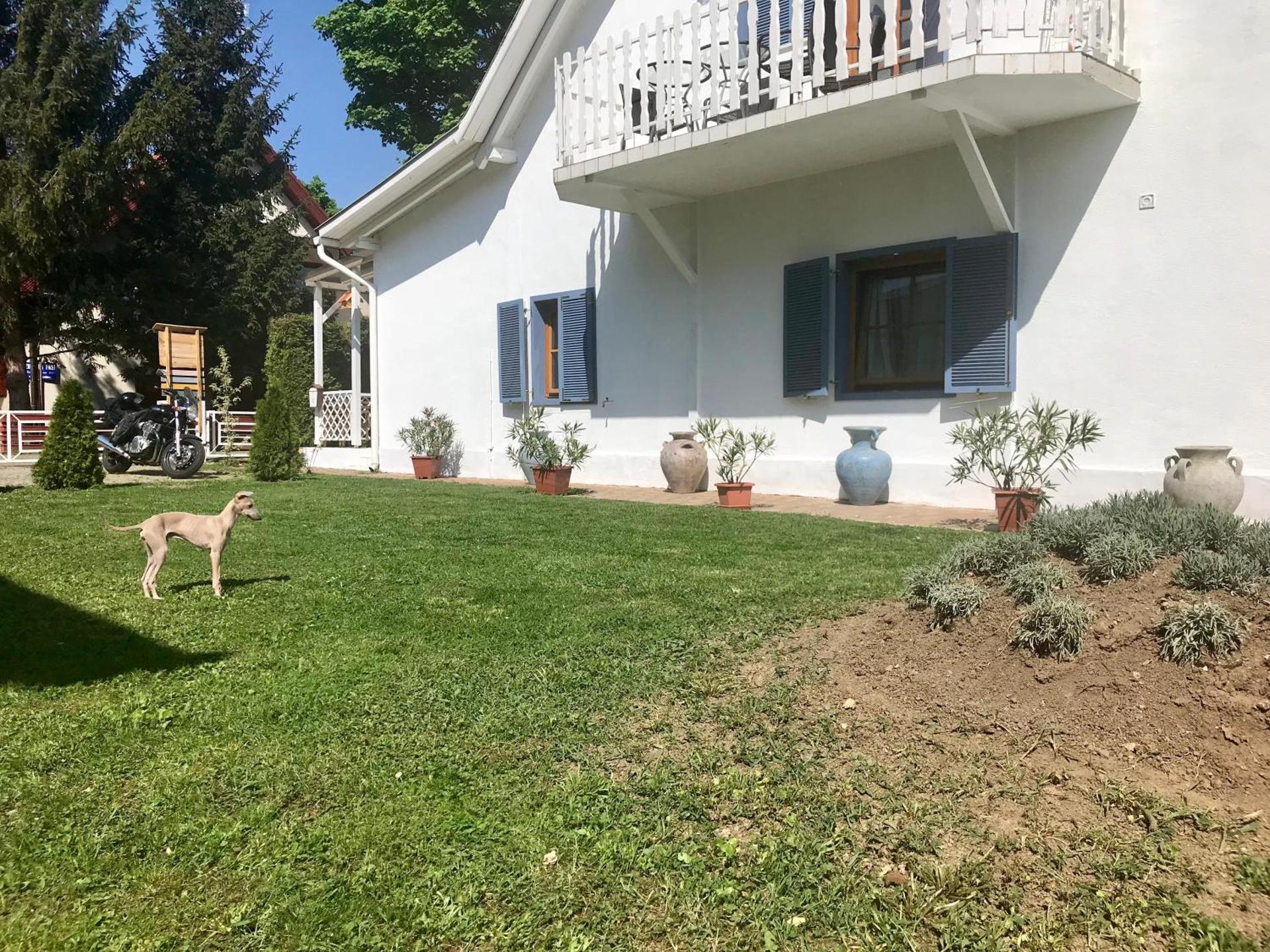 Home Sweet Apartment