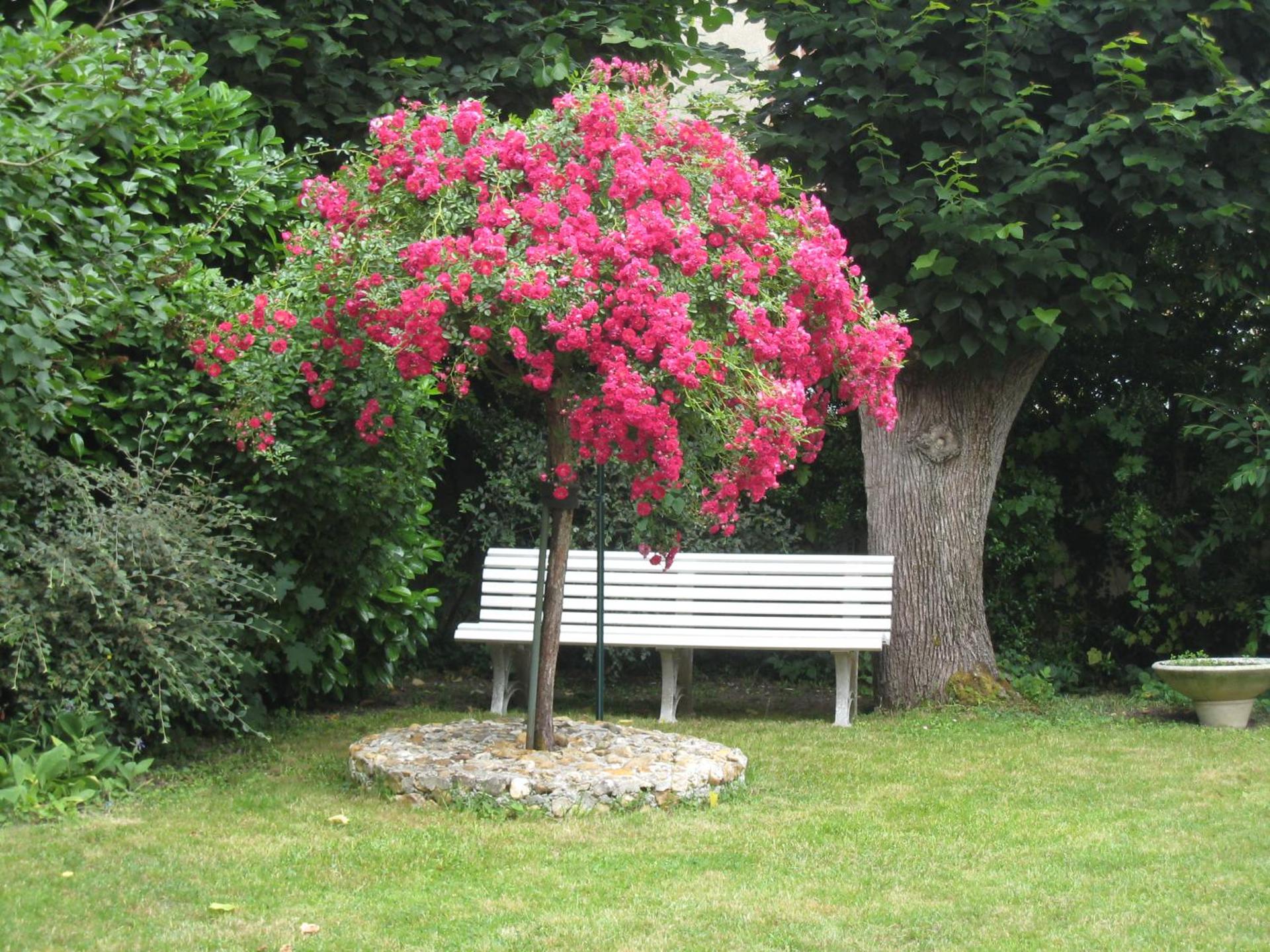 LOGIS - Hôtel Restaurant Les Tilleuls