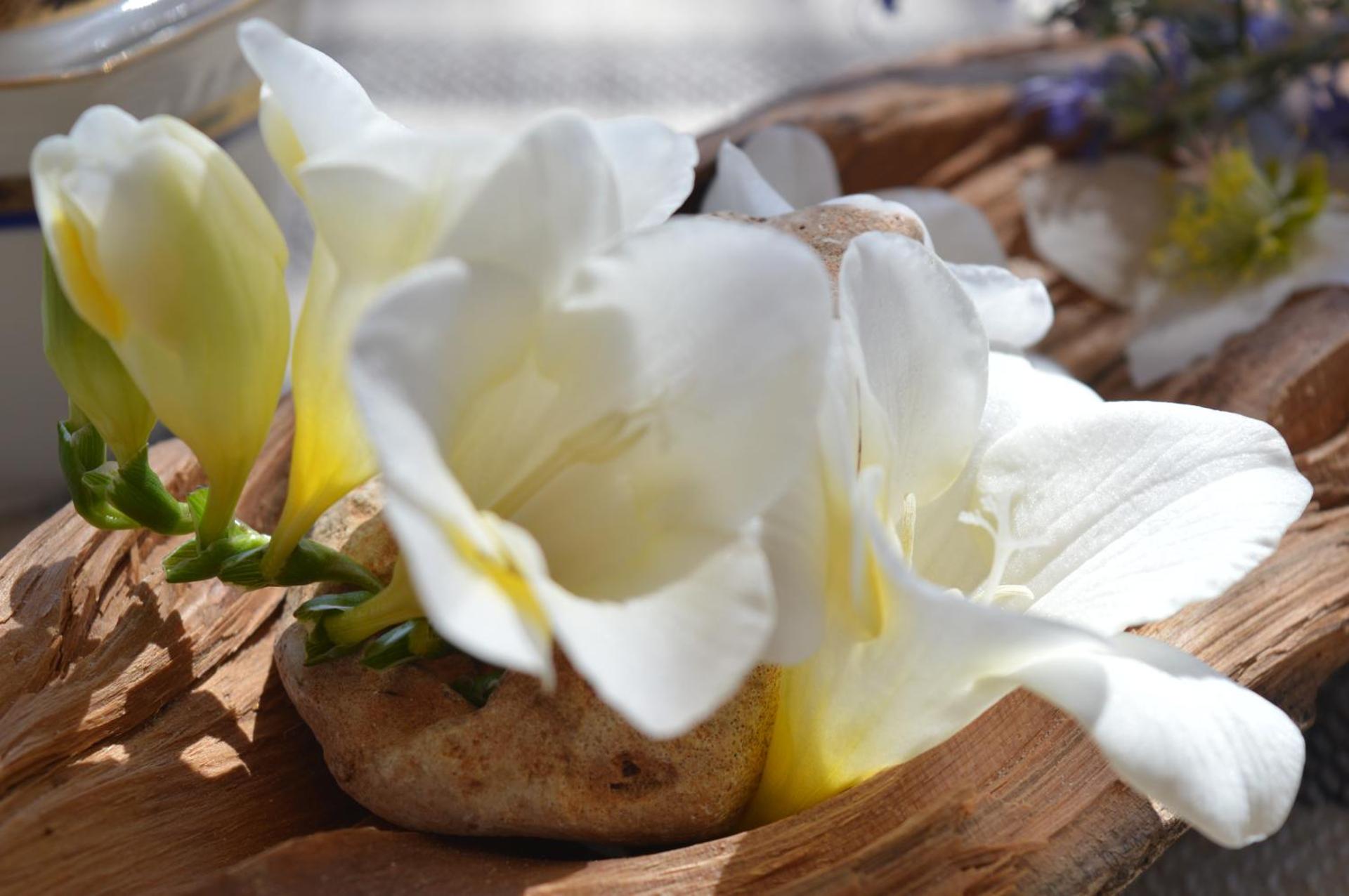 B&B Su Biancu - Sardinian Experience