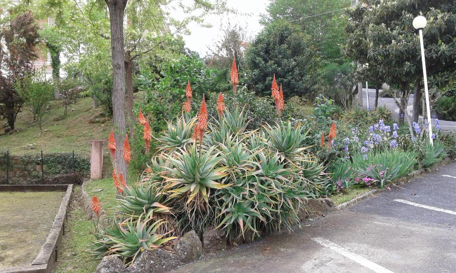 Appartamento Lauretta